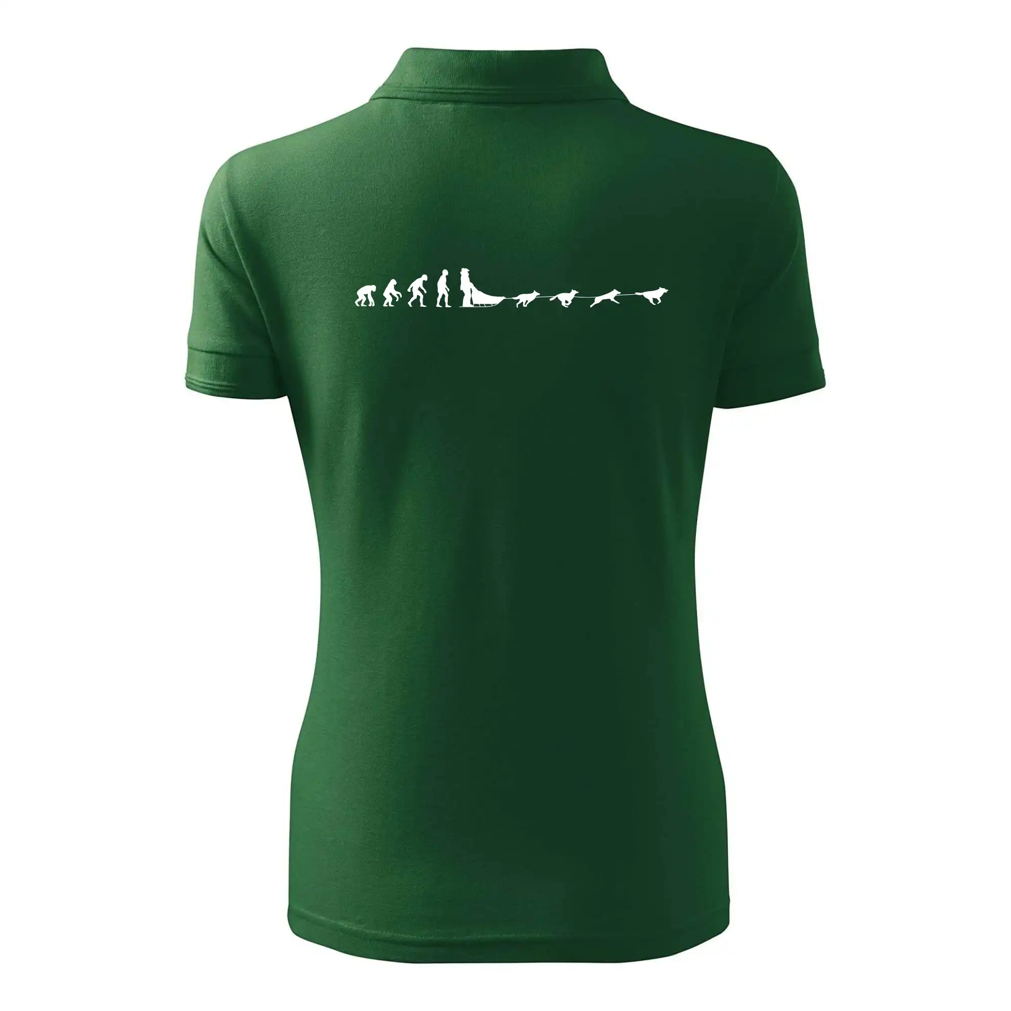 Evoluce psí spřežení