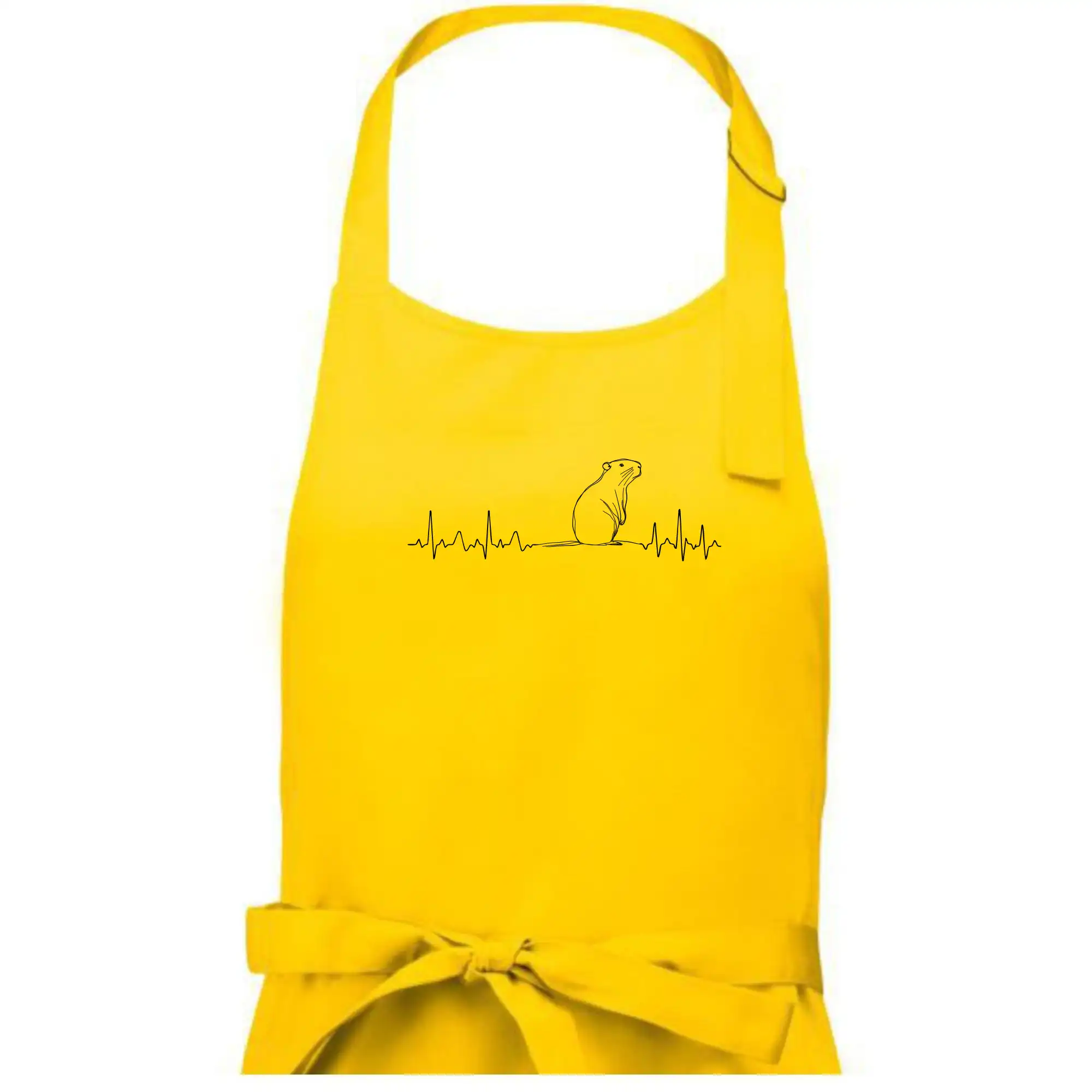 EKG křivka kapybara