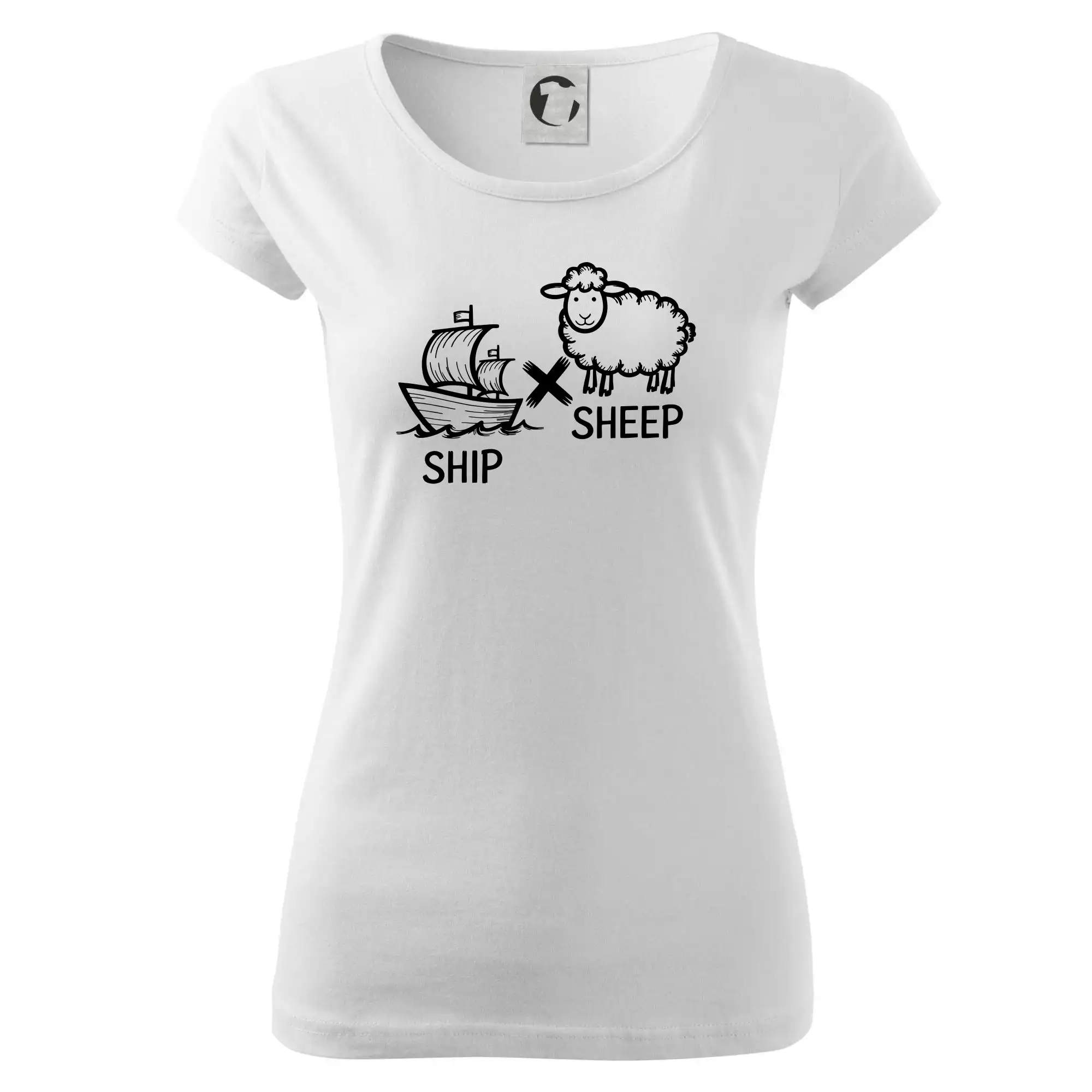 Anglický slovníček - Ship sheep