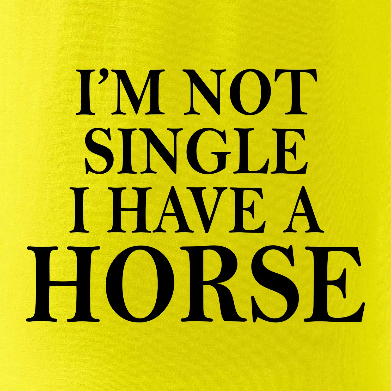 I have a horse - Nepotřebuji přítele