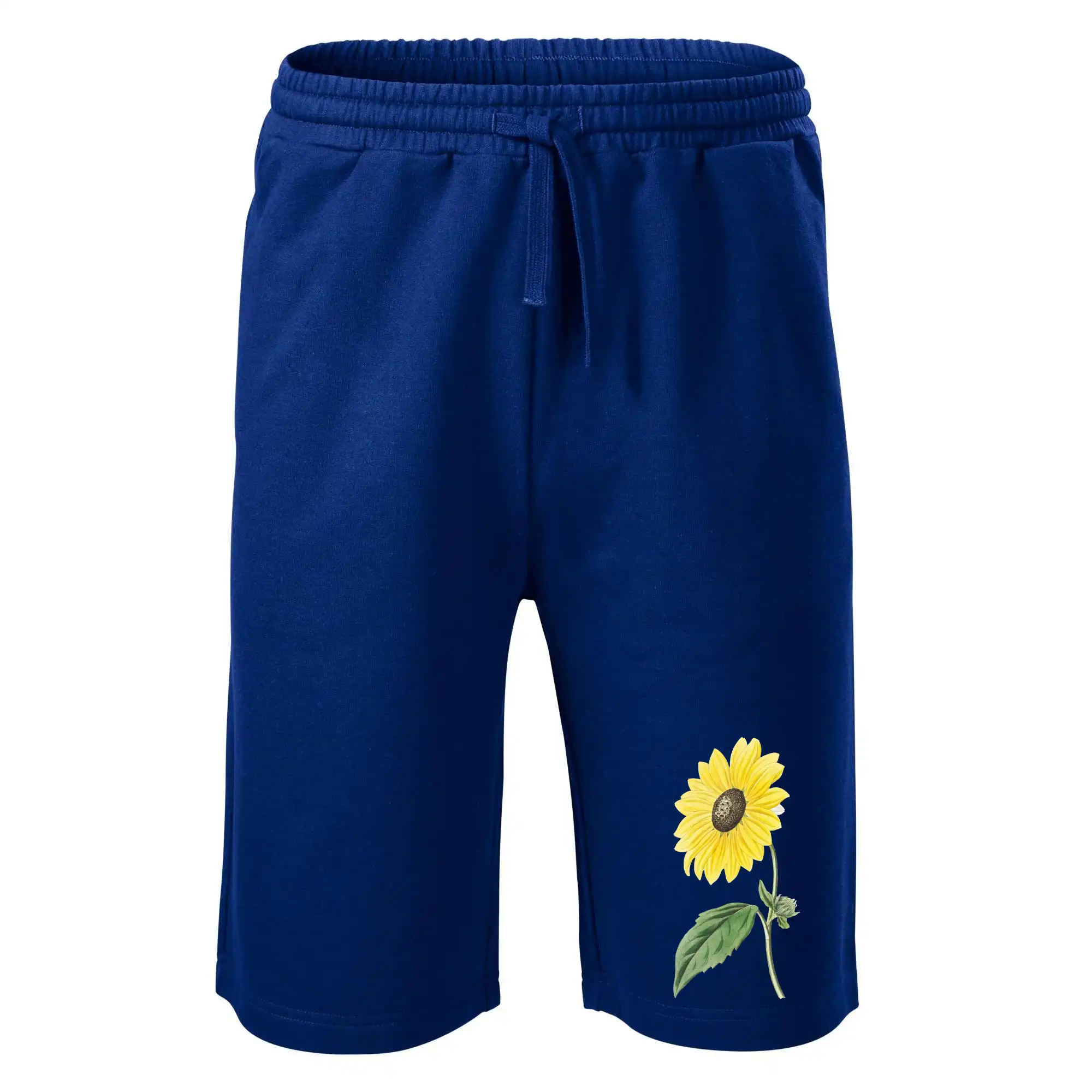 Slunečnice otočená