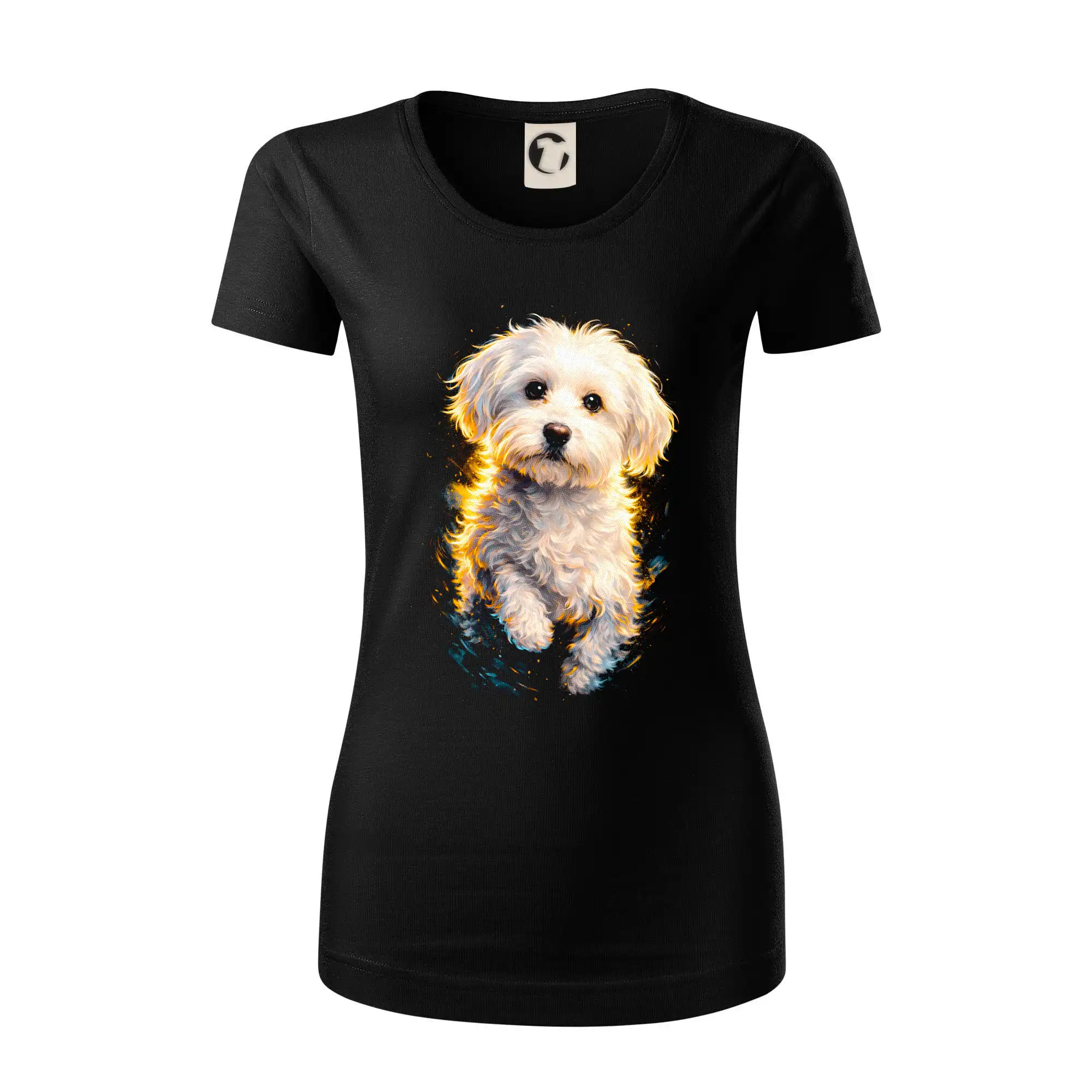 Obrázek polotón Maltezský psík