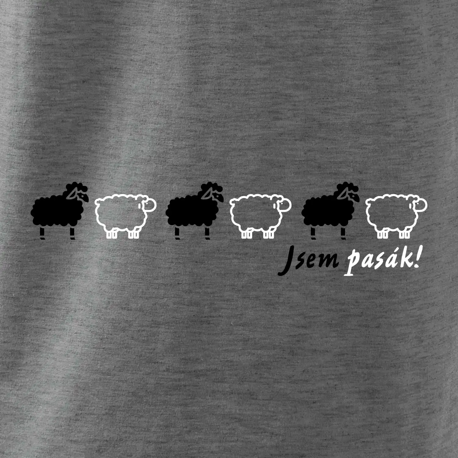 Jsem pasák - ovce v řadě