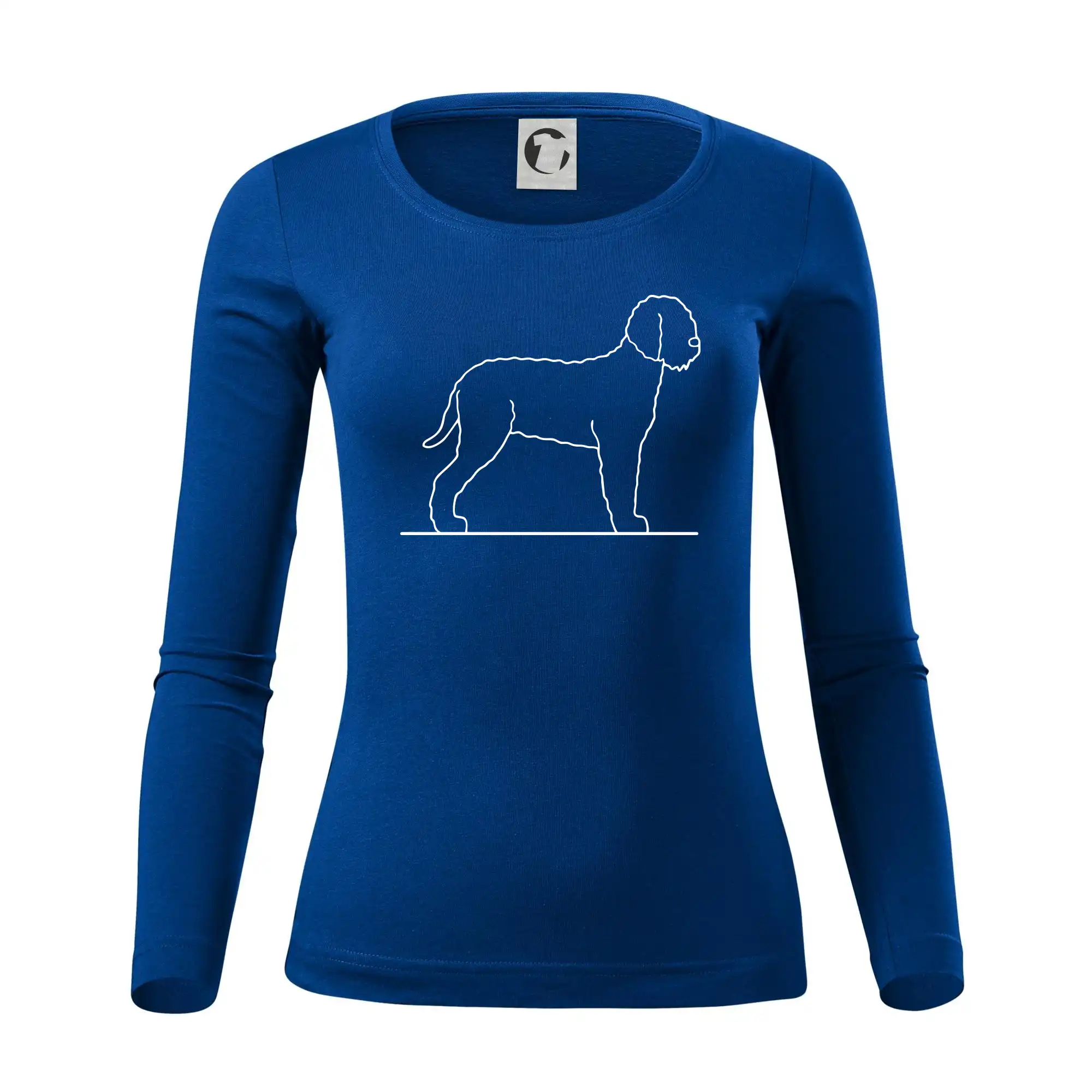 Lagotto romagnolo stojící
