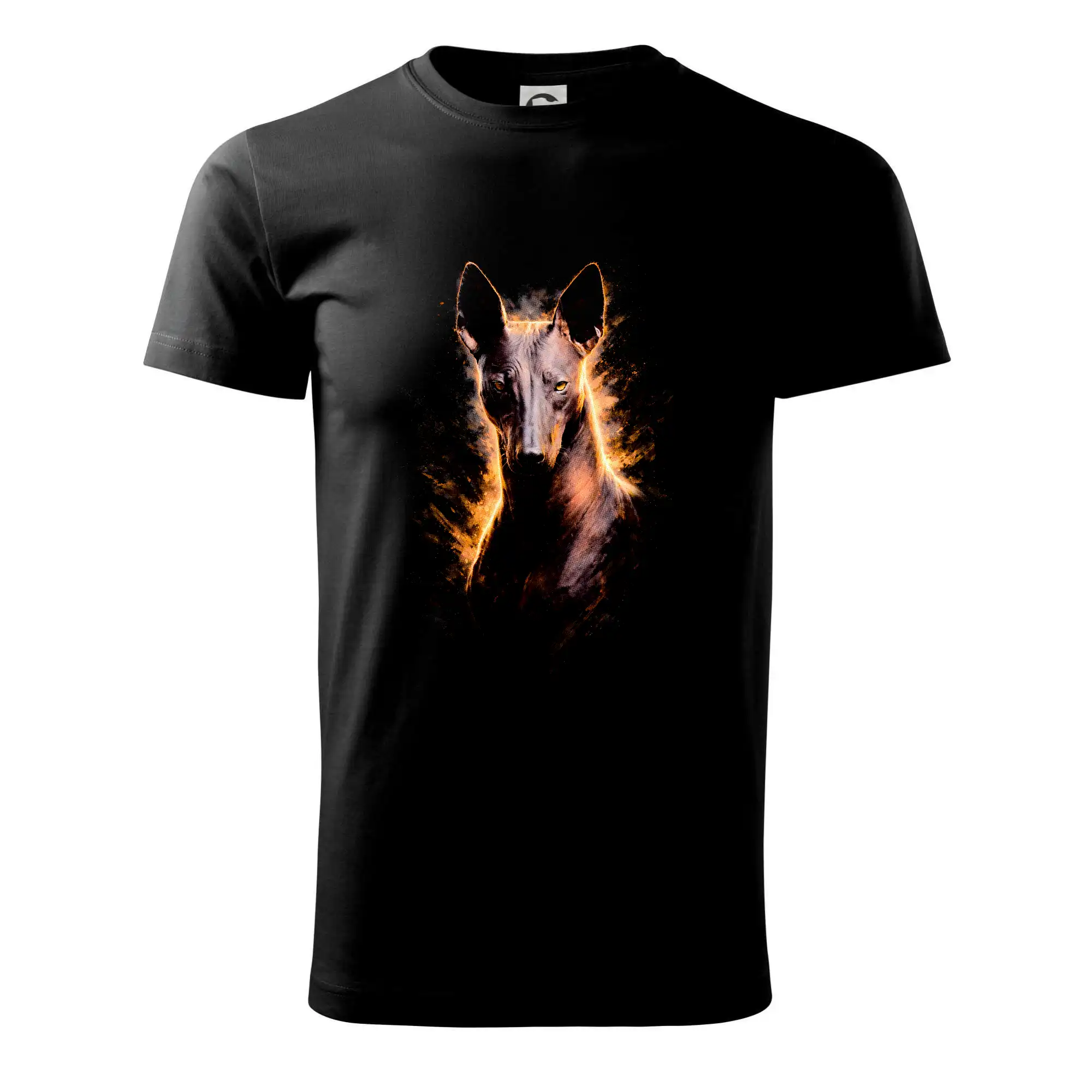 Obrázek polotón Xoloitzcuintli mexický naháč