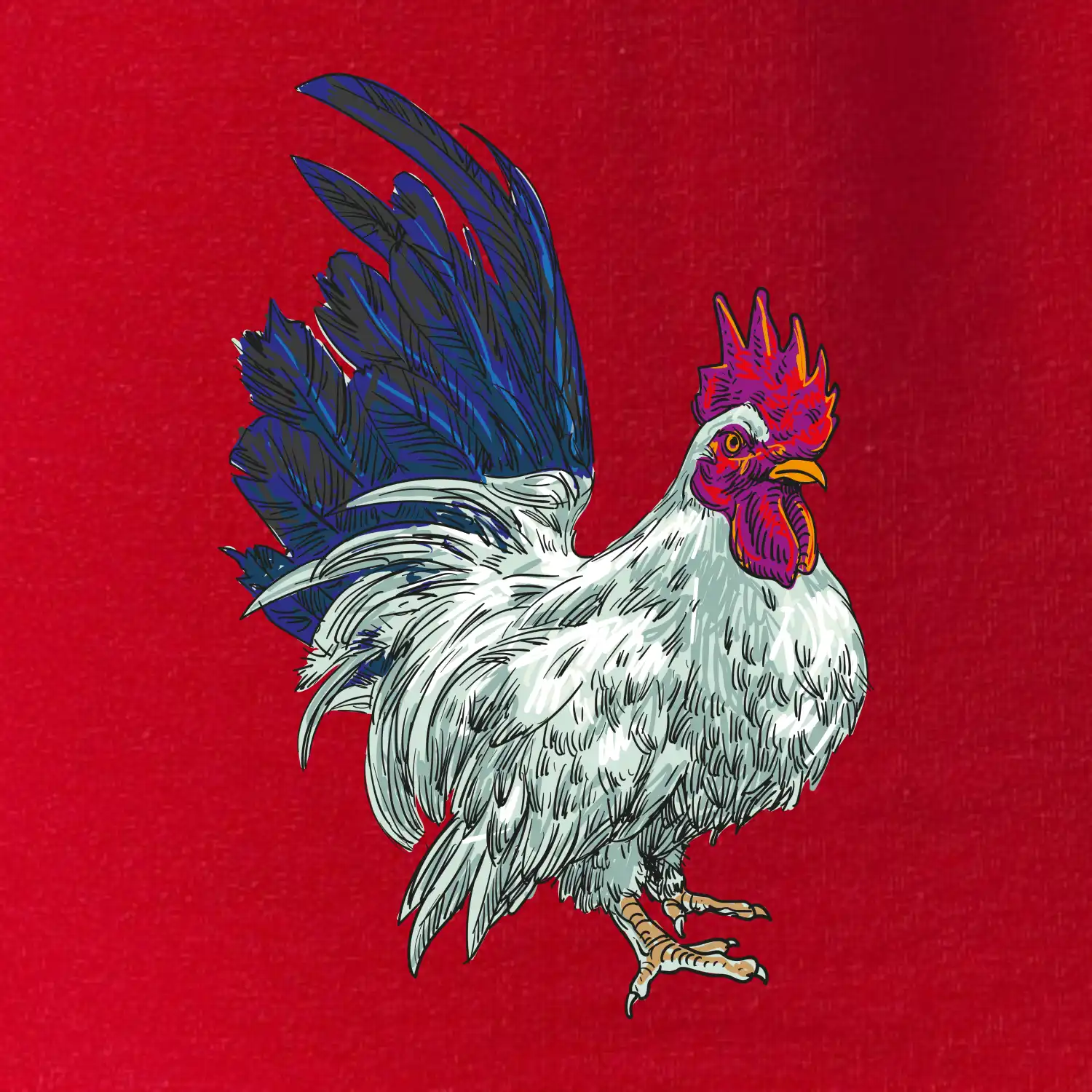 Kohout kreslený bílý