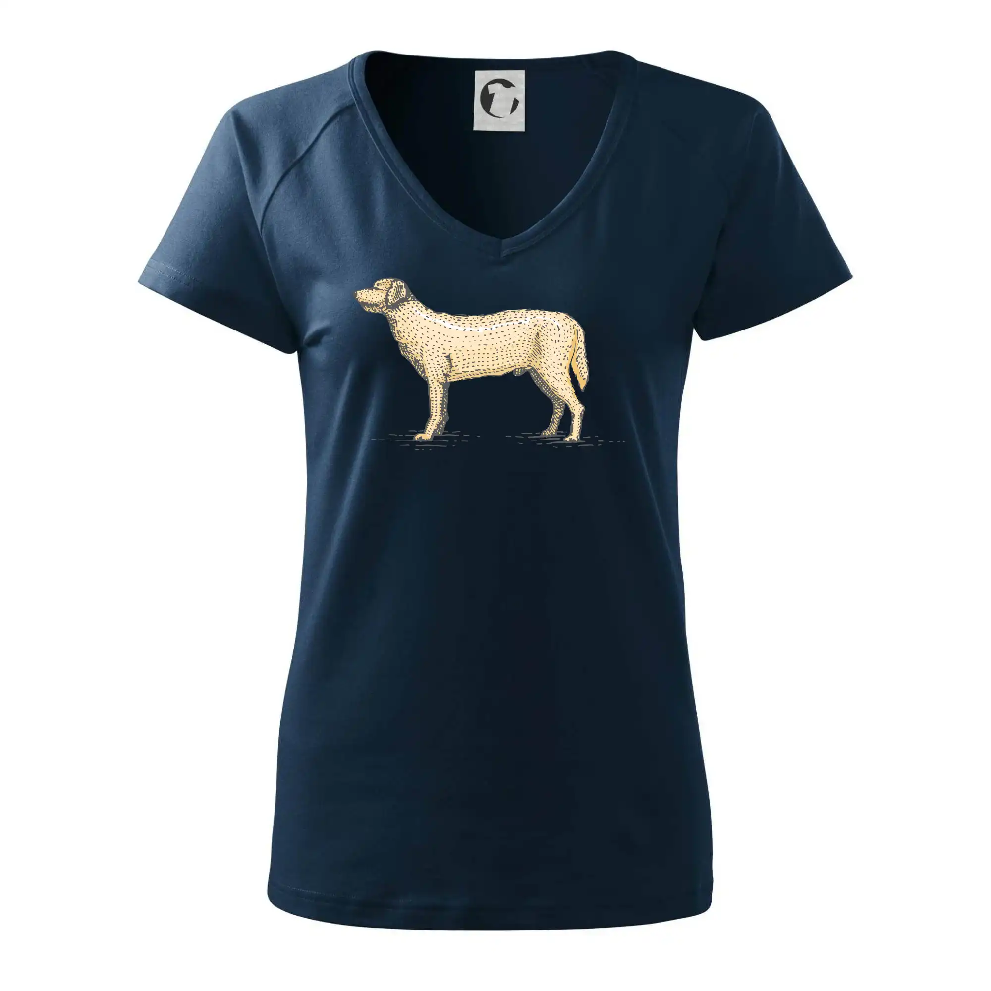 Vintage Labrador