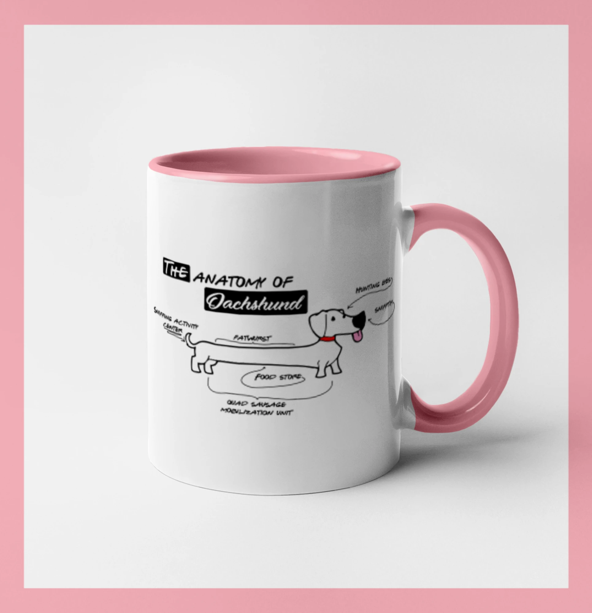 Jezevčík - Anatomie