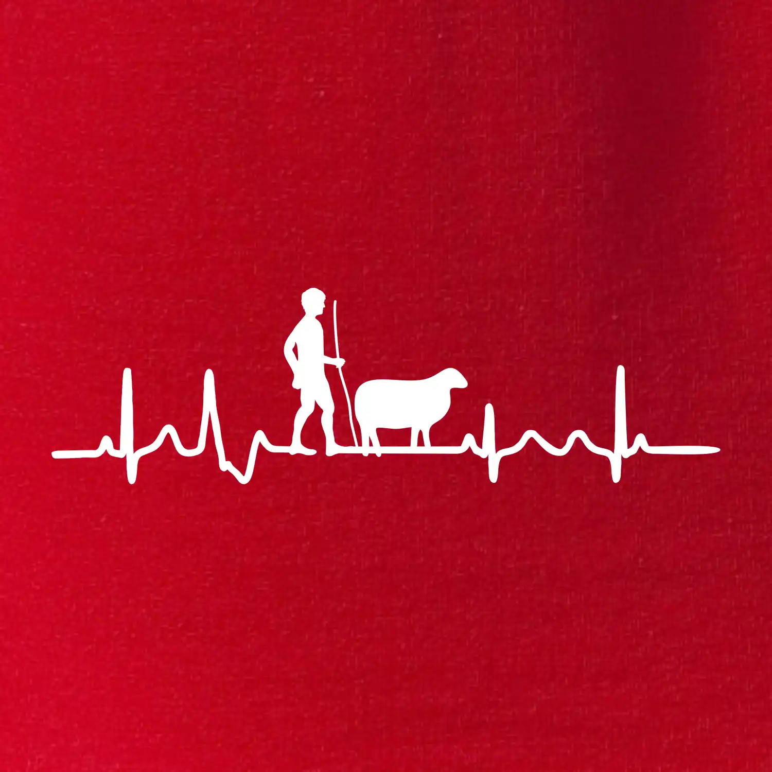Ekg pastevec ovcí