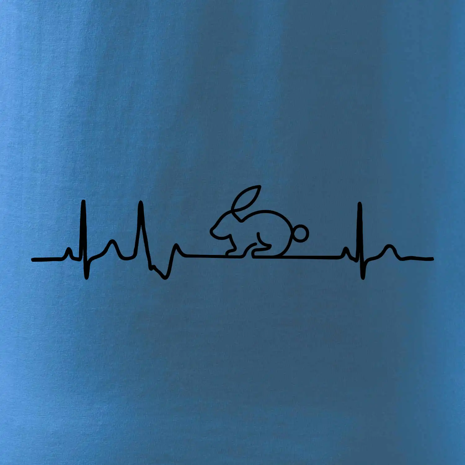 EKG králík