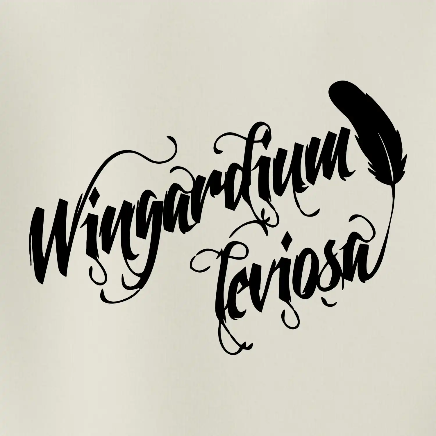 Harry - Wingardium Leviosa