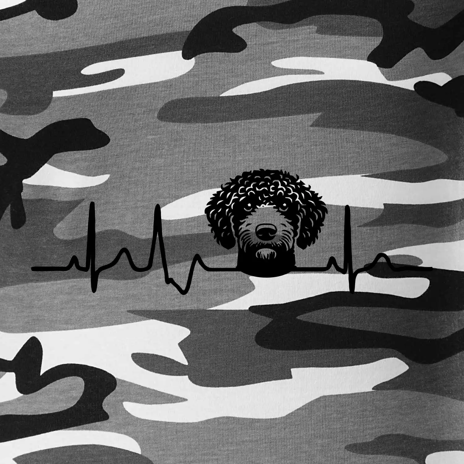 Lagotto romagnolo hlava EKG