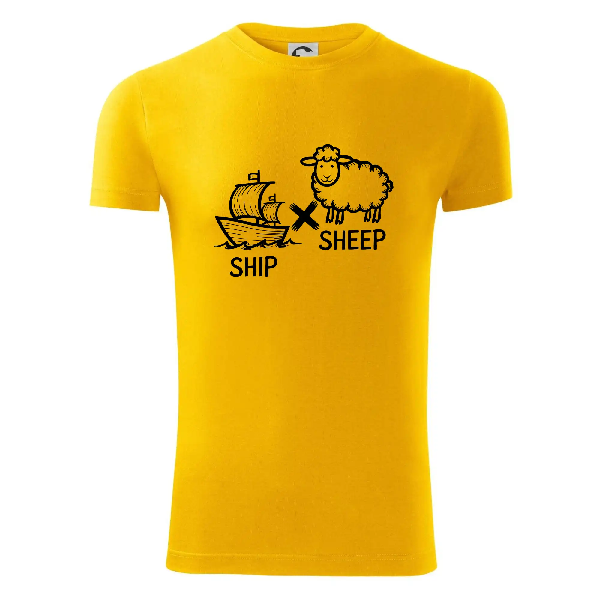 Anglický slovníček - Ship sheep