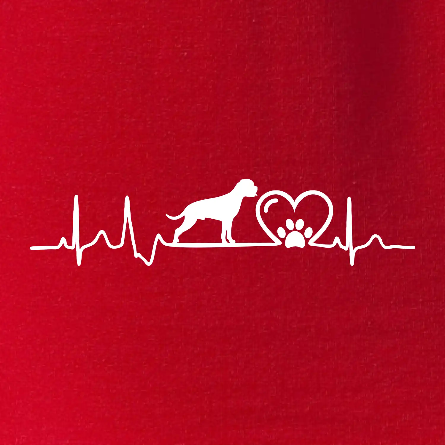 Německý boxer EKG