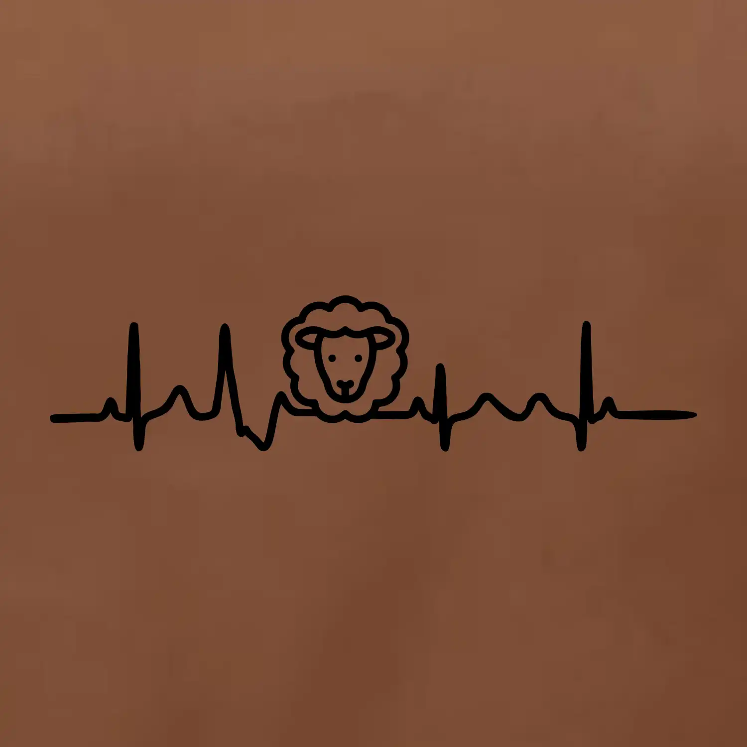 Ekg ovce