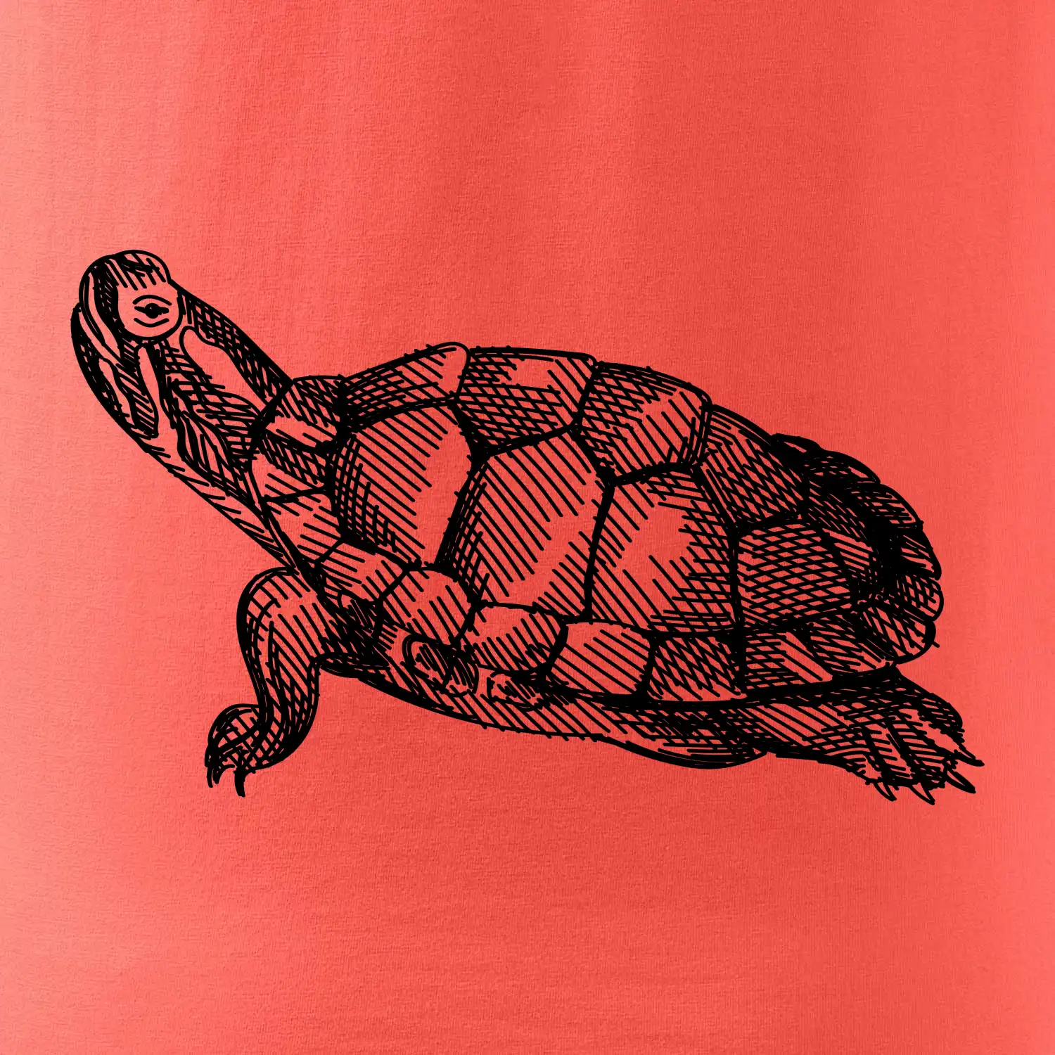 Tužkou kreslená želva