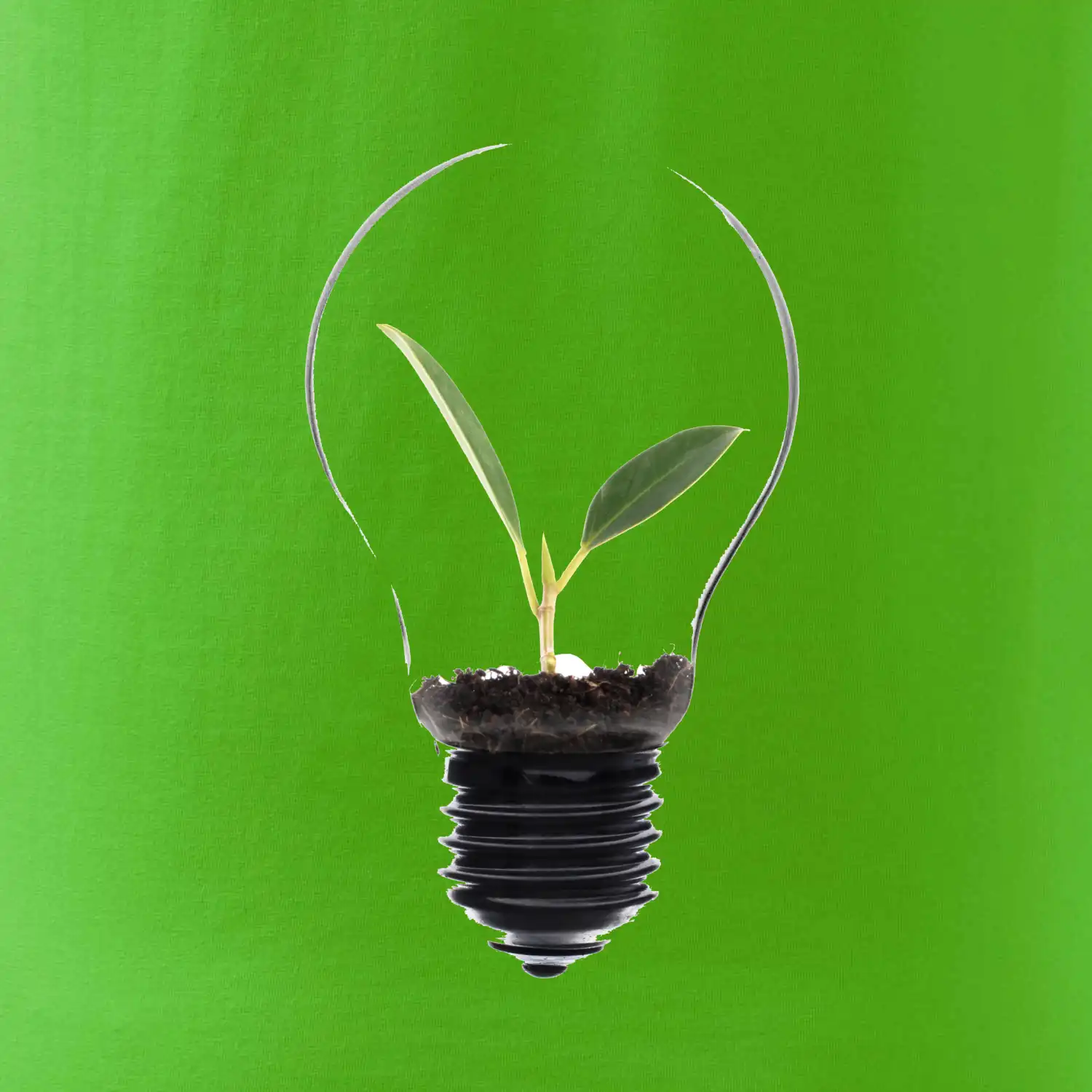 Žárovka květináč