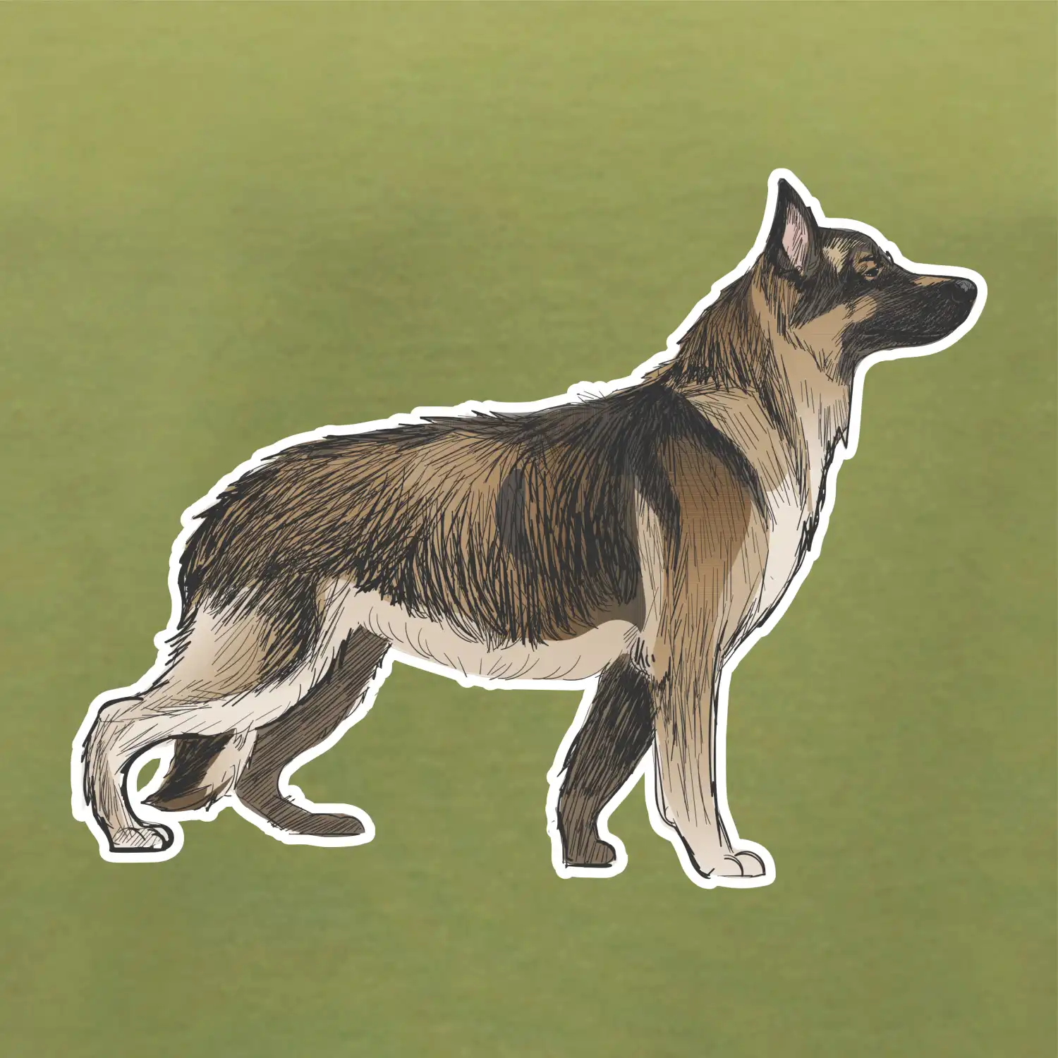 Německý ovčák - hnědý kreslený