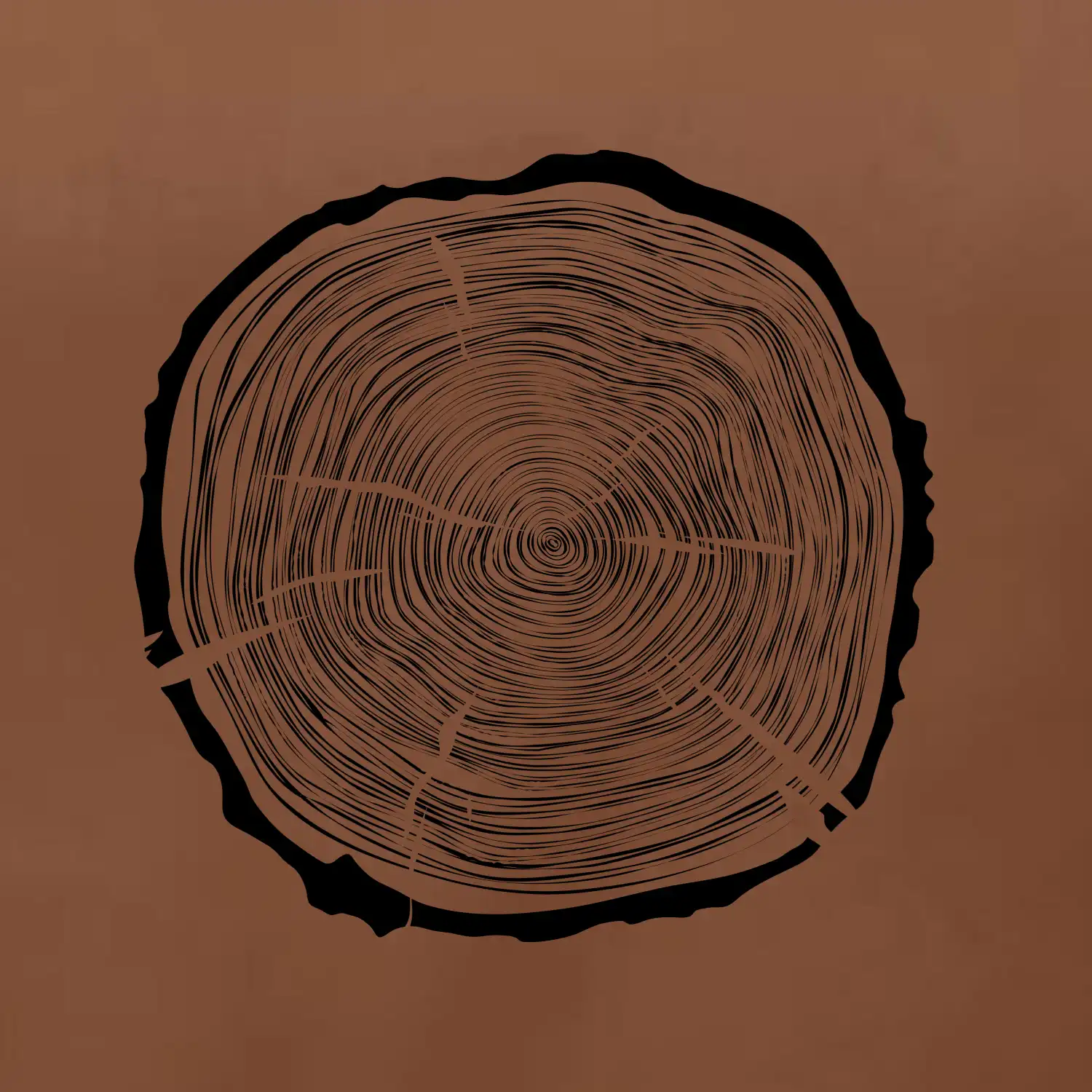 Letokruhy 65 bez věku