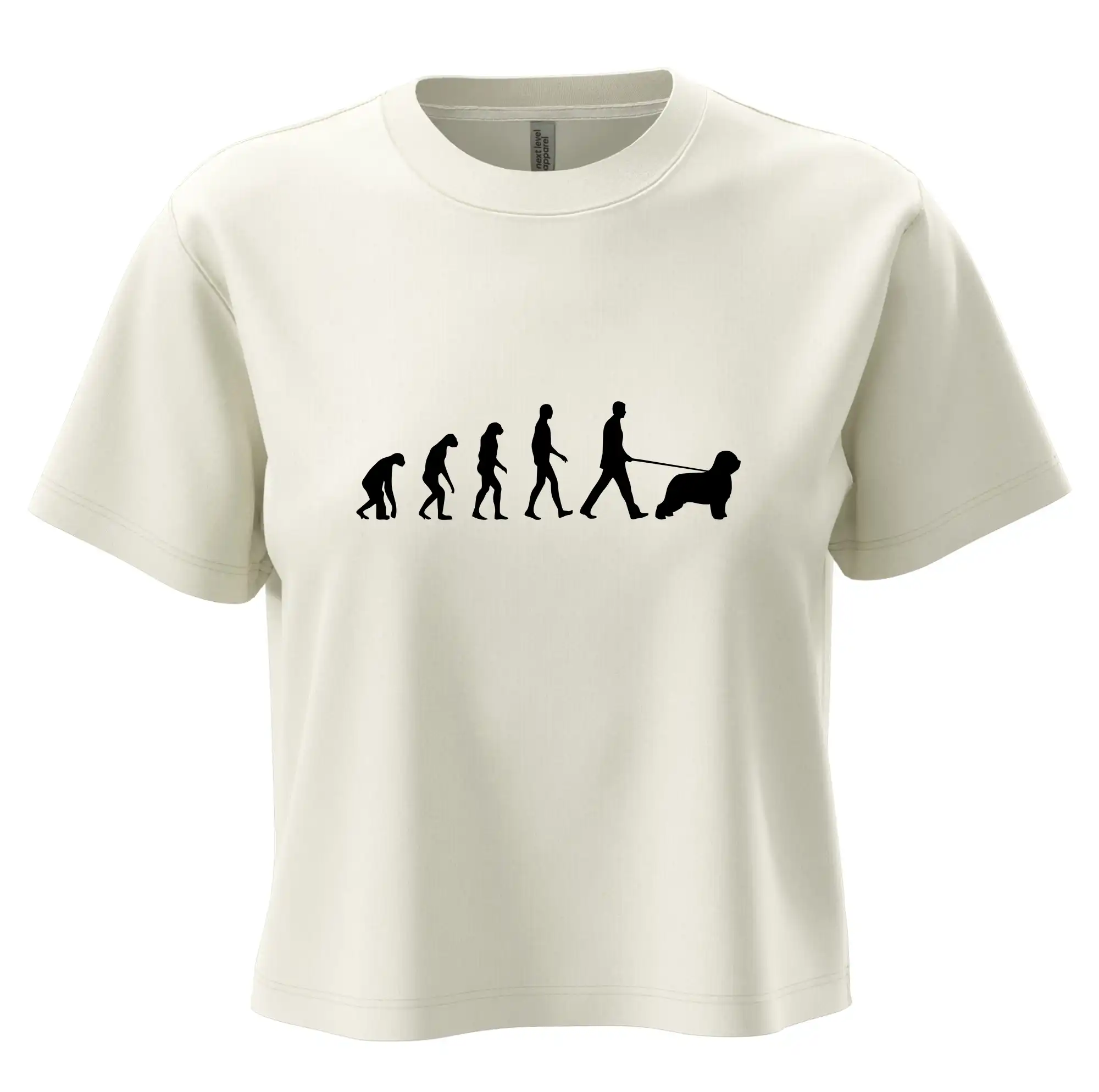 Evoluce pes Briard