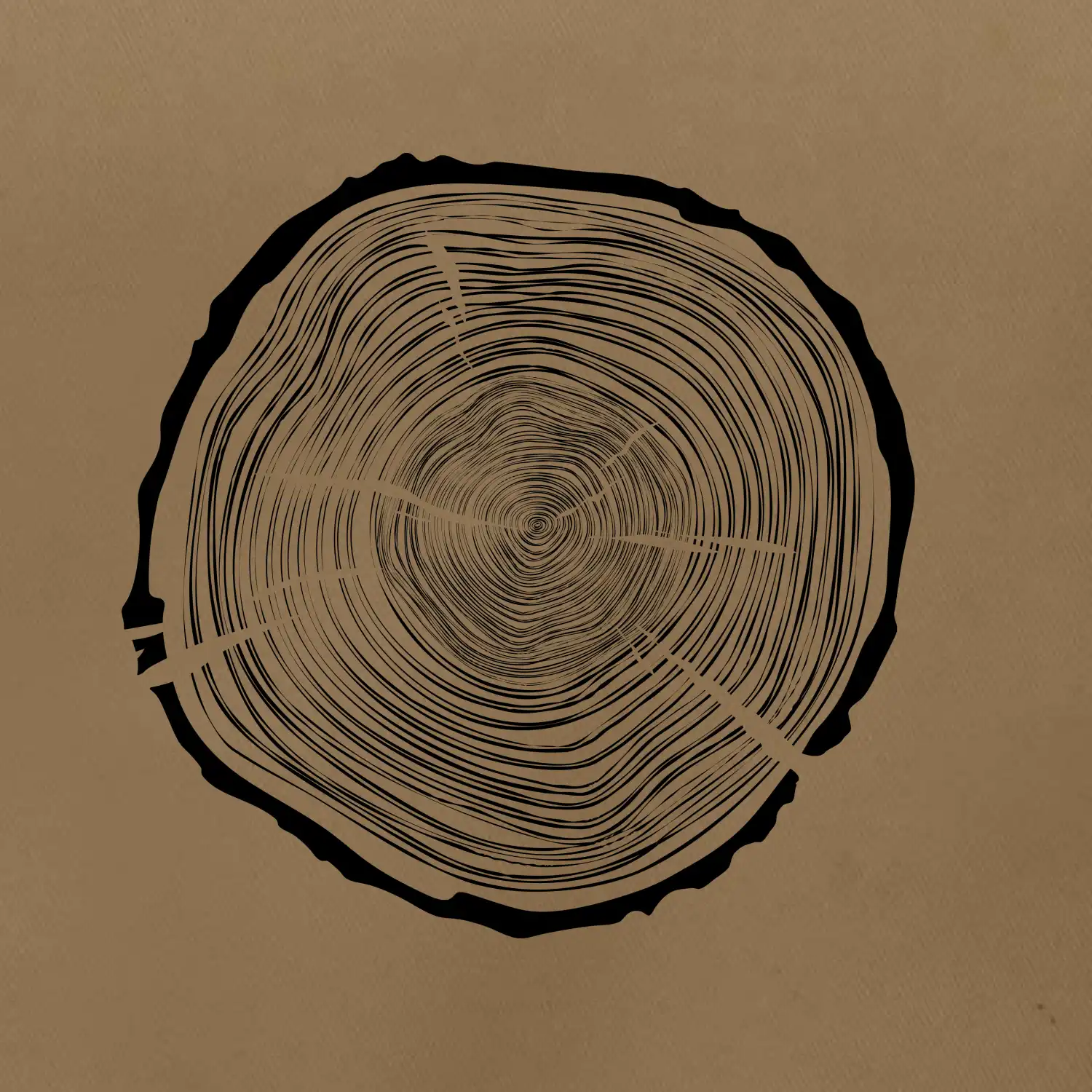 Letokruhy 75 bez věku