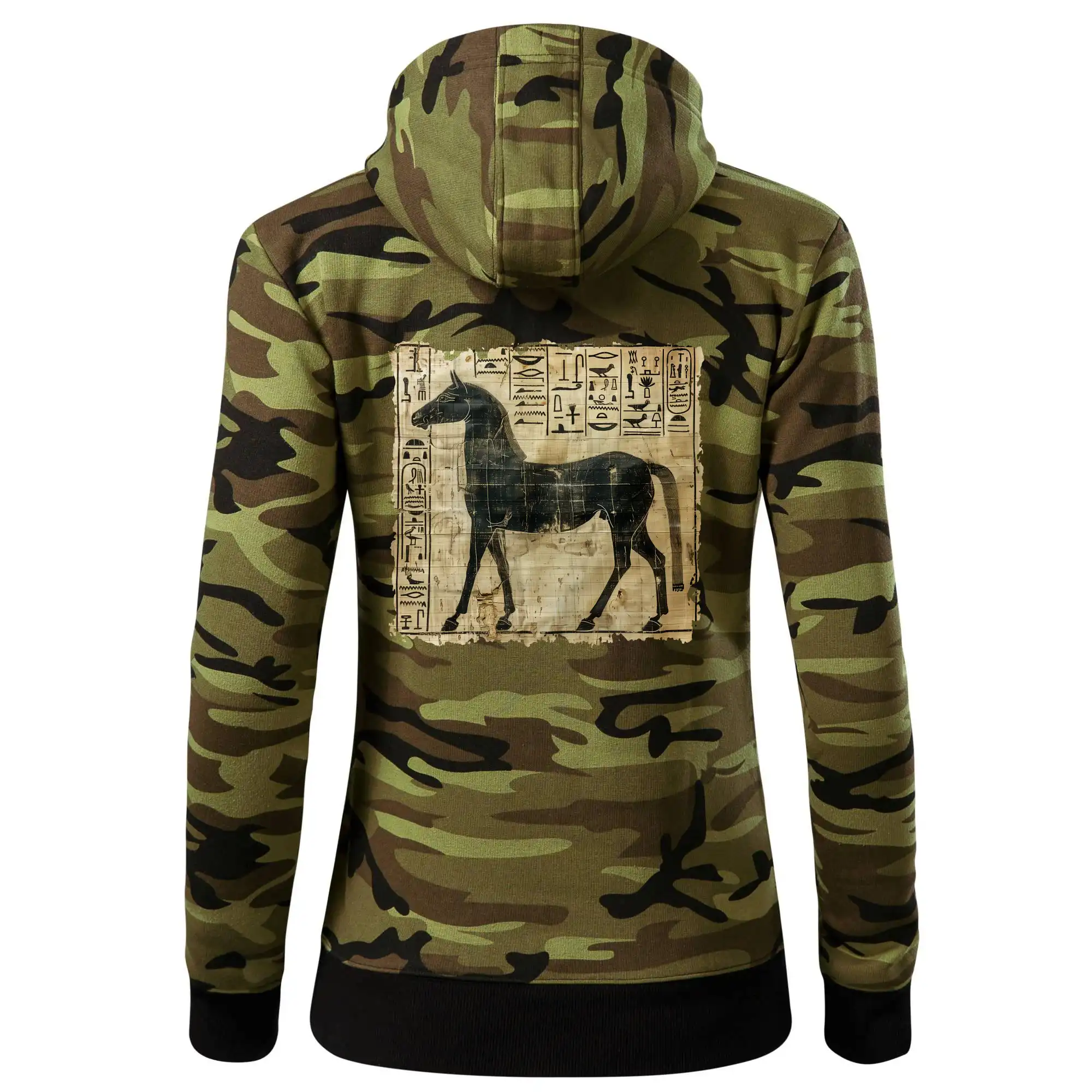 Egyptské hieroglyfy kůň