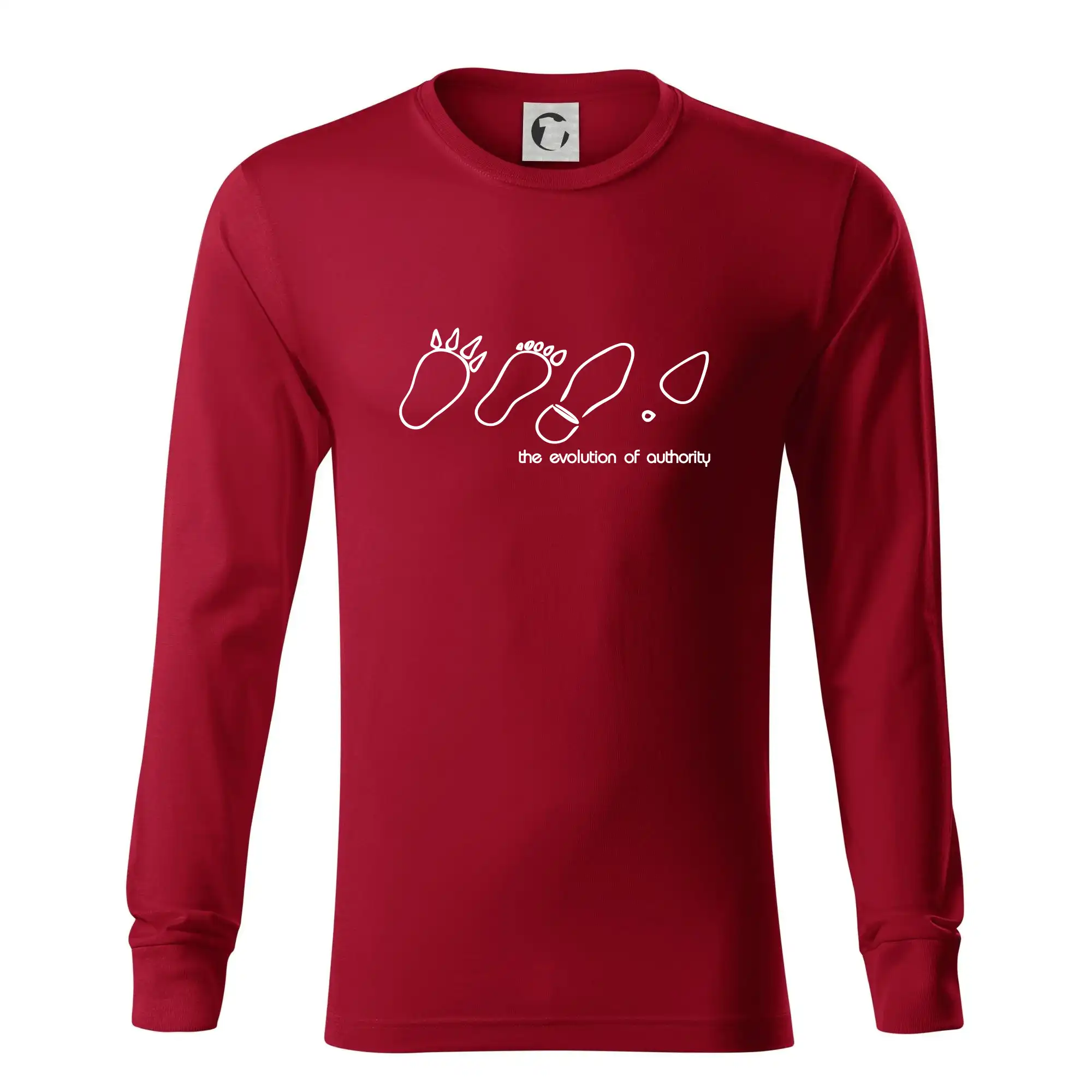 Evolution of authority