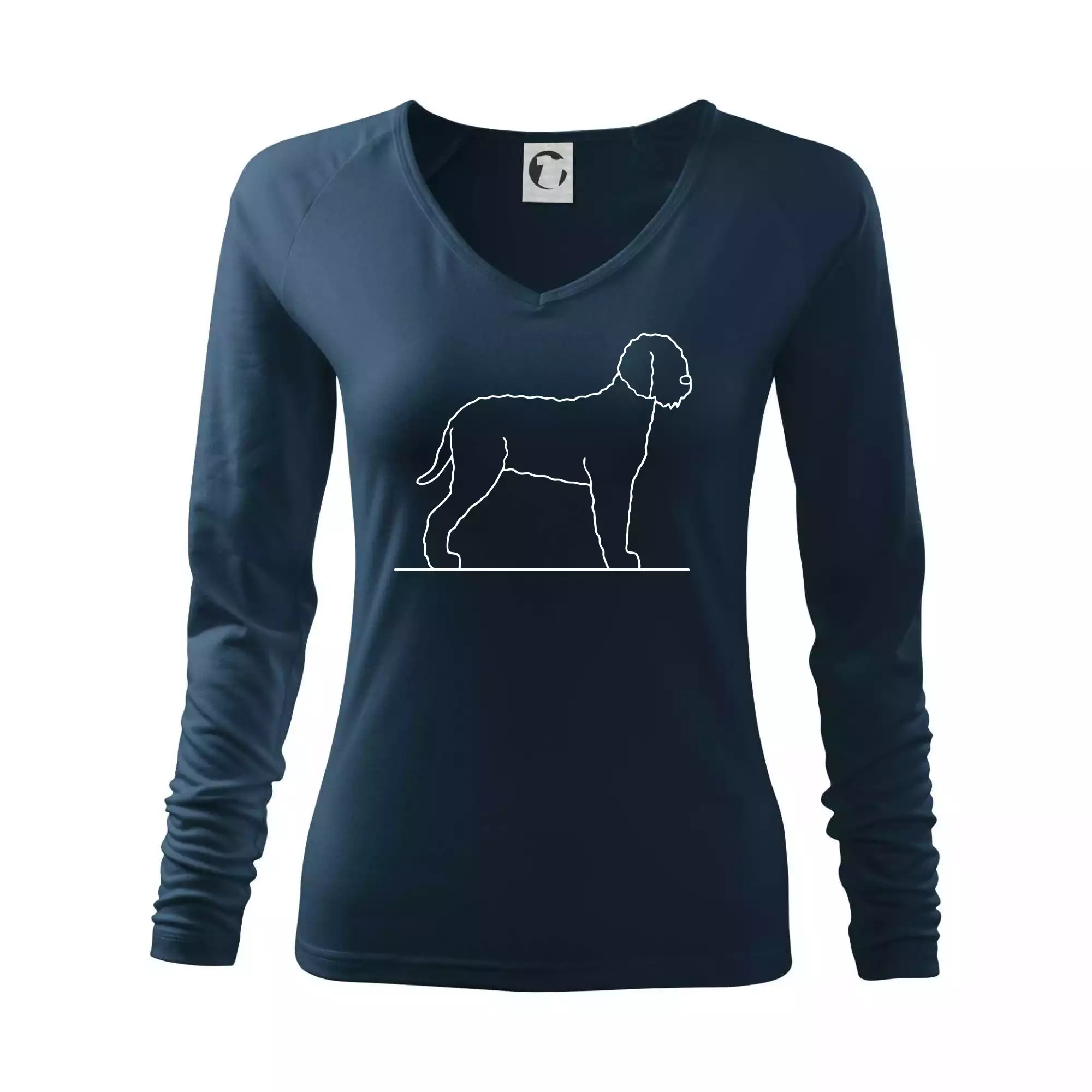 Lagotto romagnolo stojící