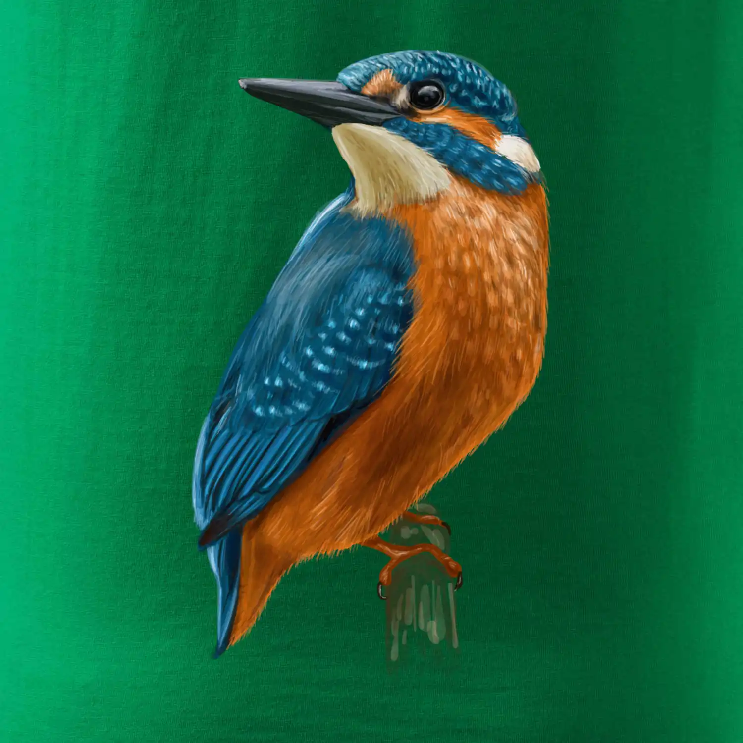 Lednáček kreslený