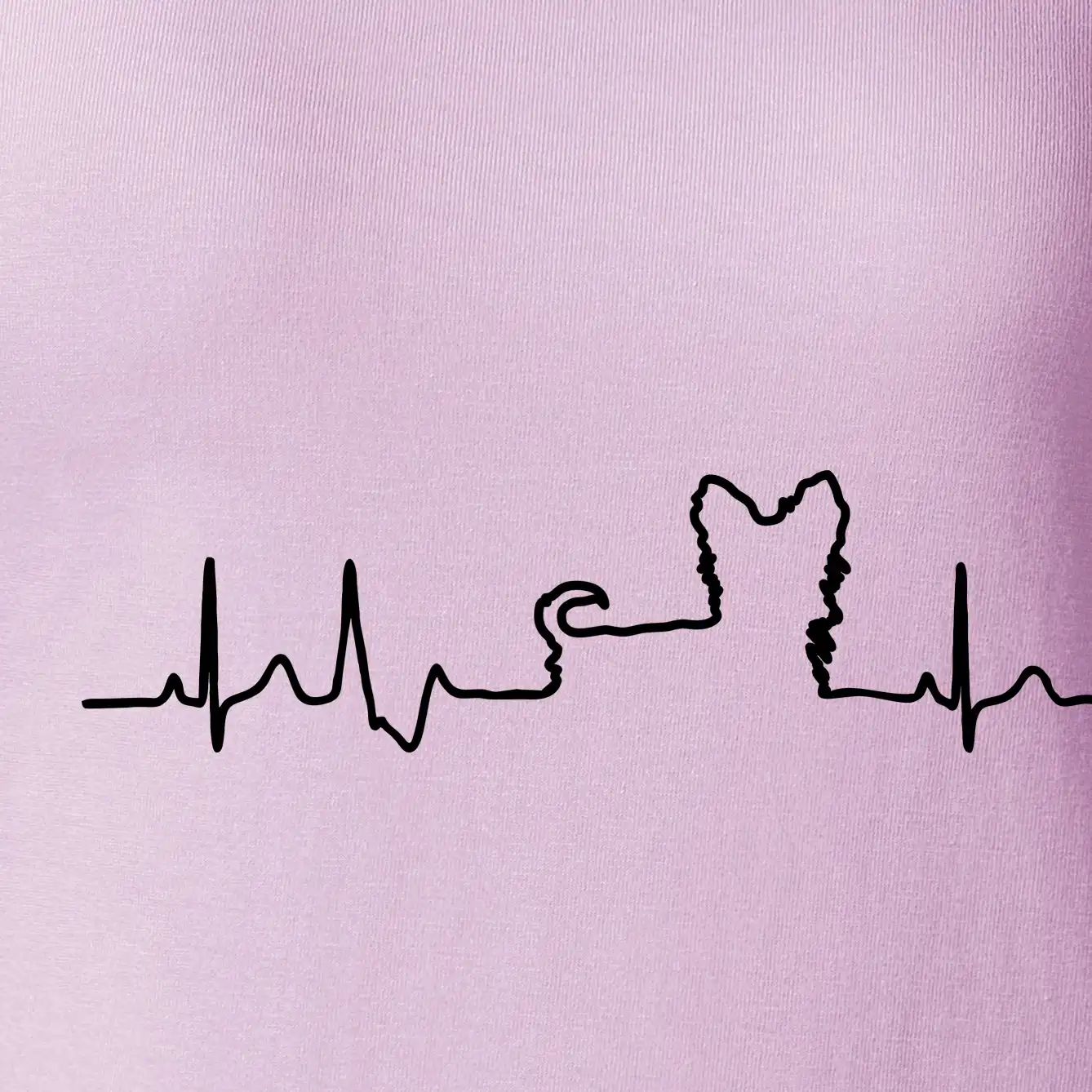 Jorkšírský teriér EKG