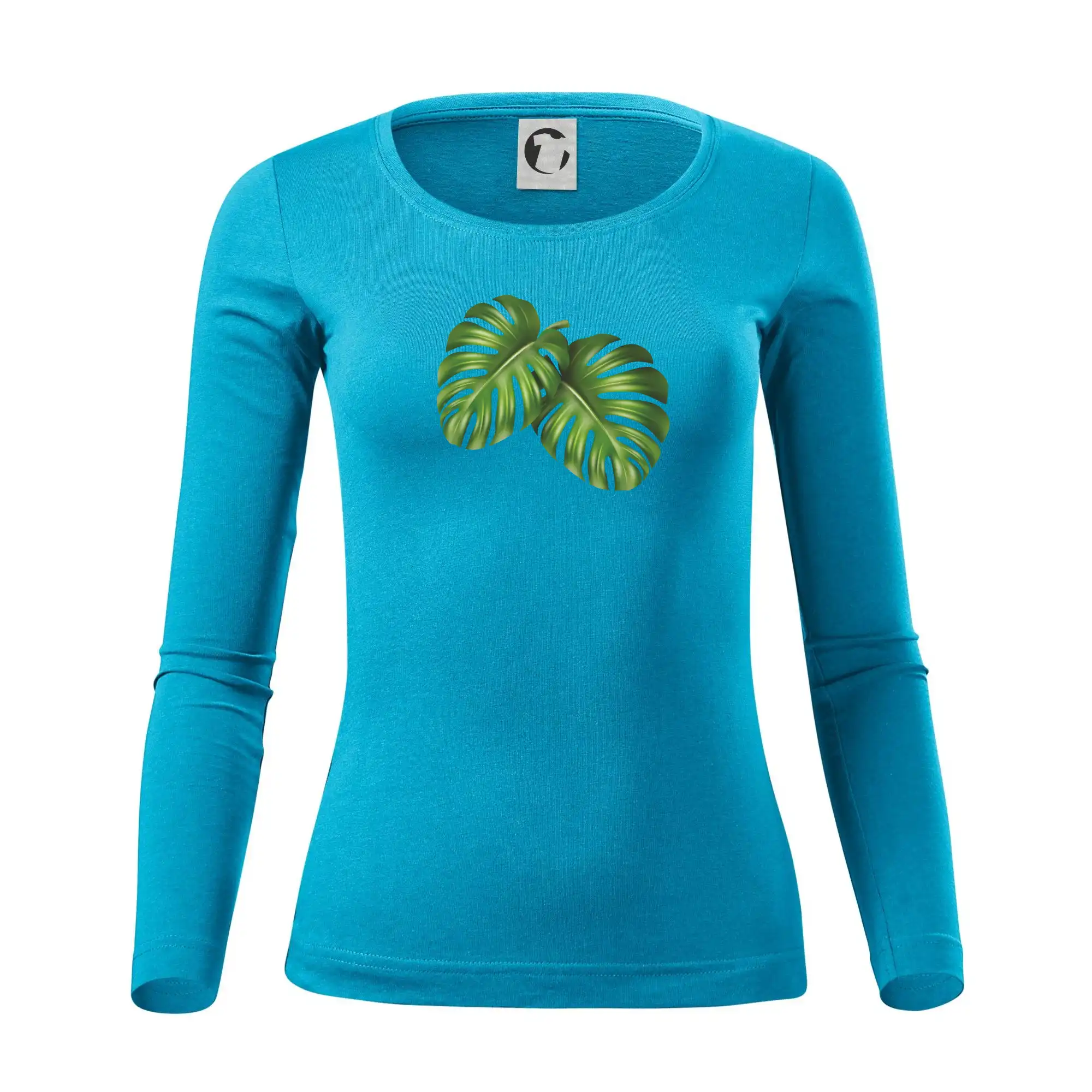 Monstera - dva listy