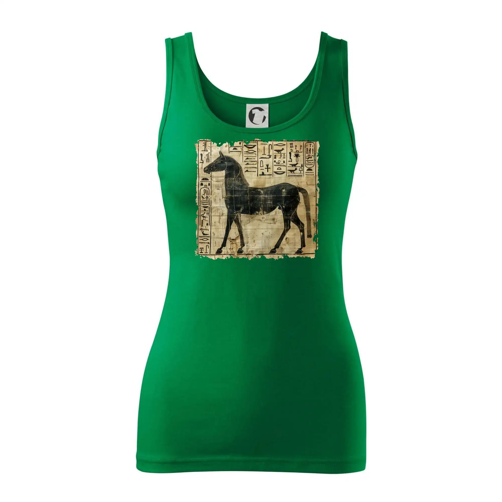Egyptské hieroglyfy kůň