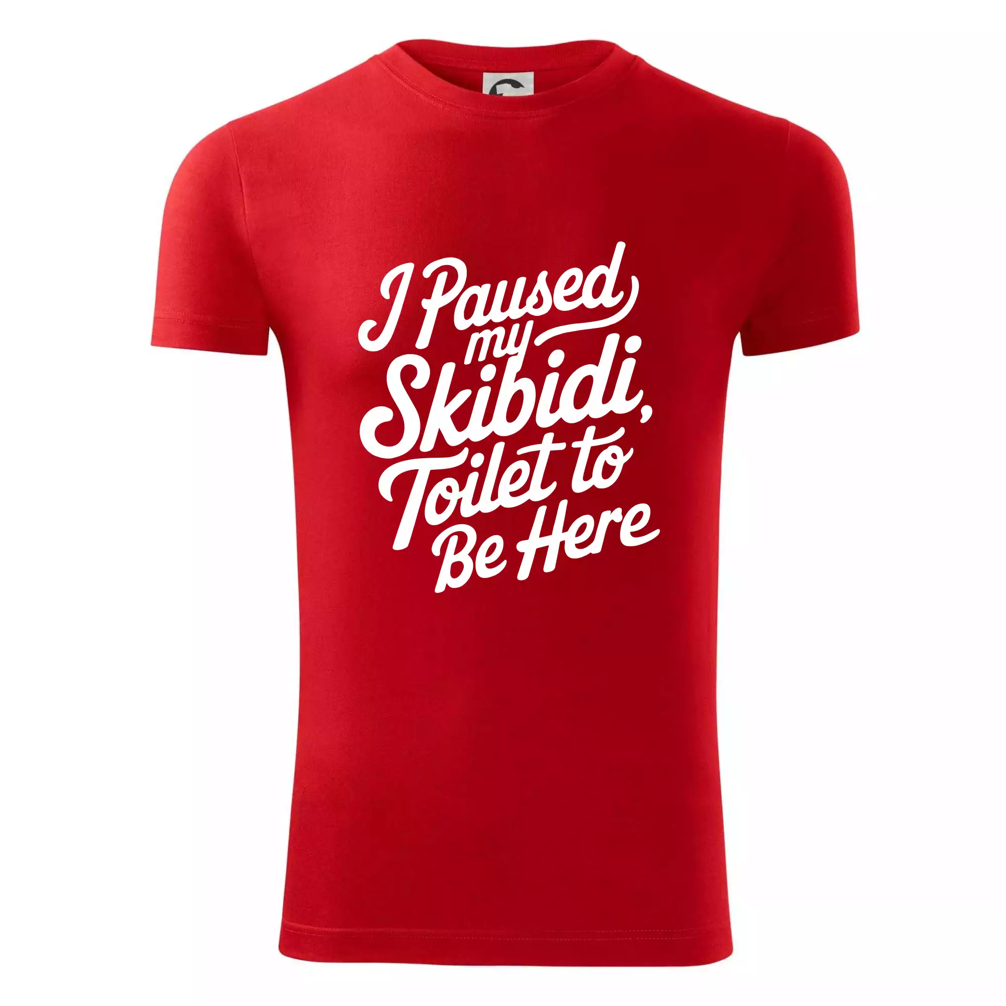 I Paused My Skibidi Toilet to be Here