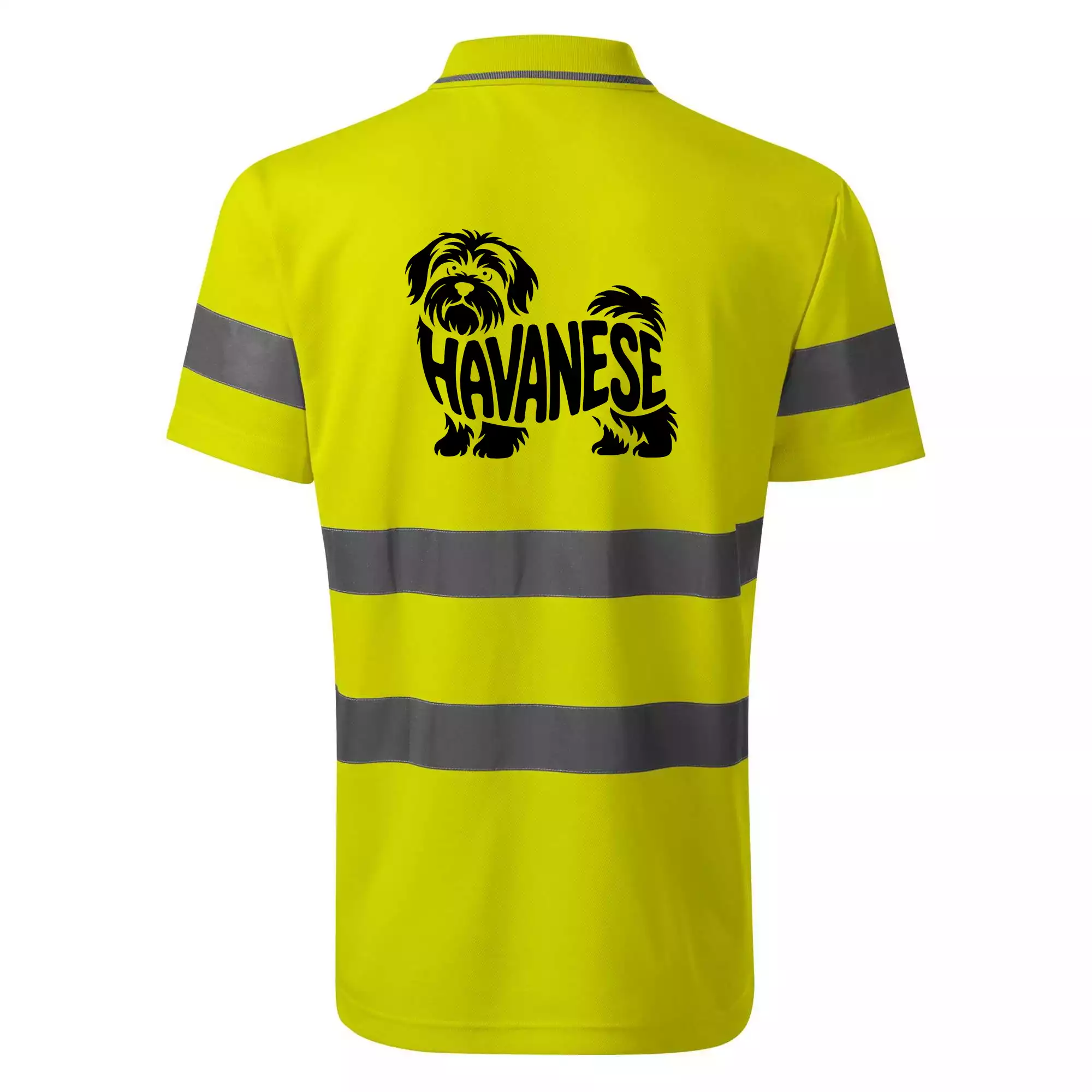 Havanese nápis v těle