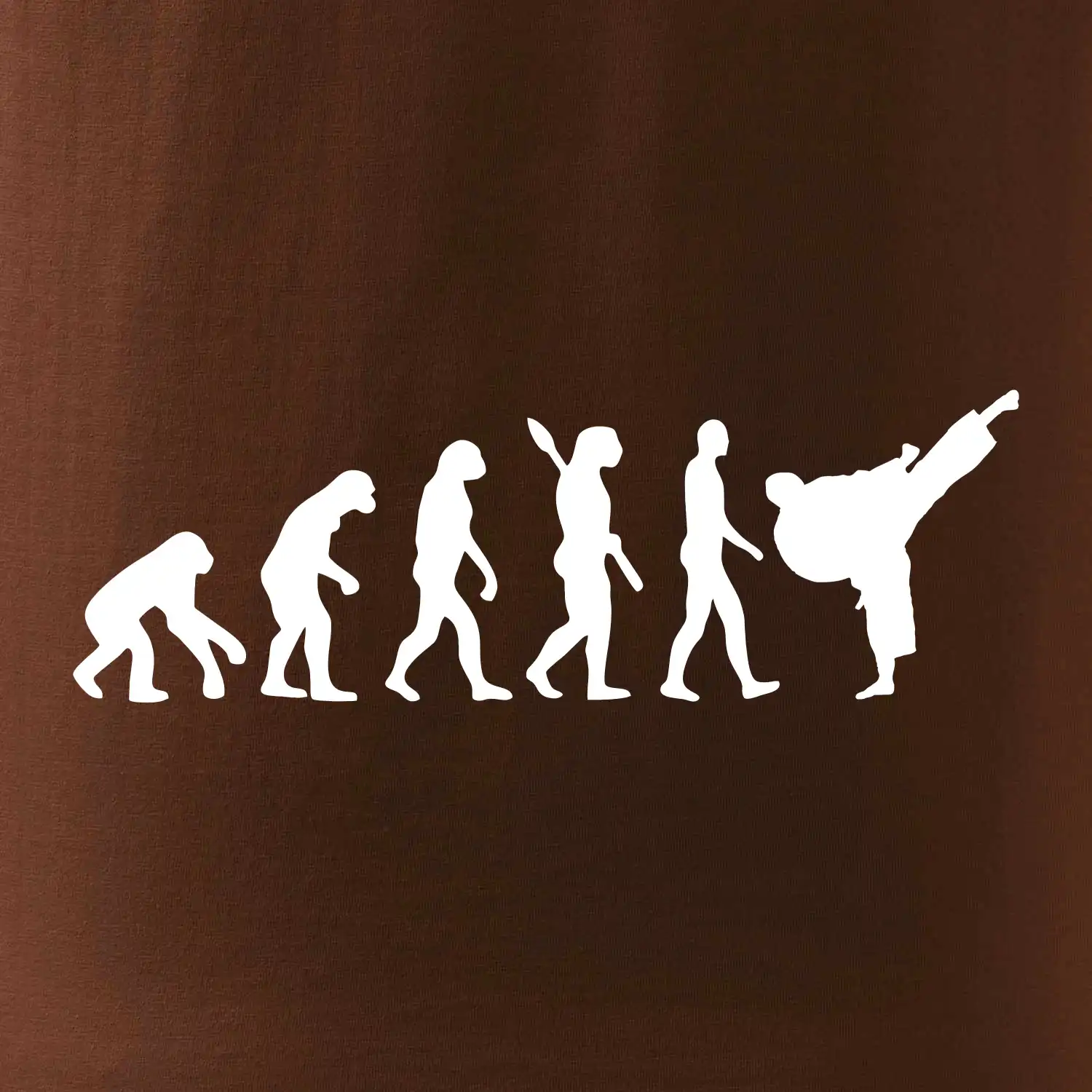 Karate Evoluce - kop