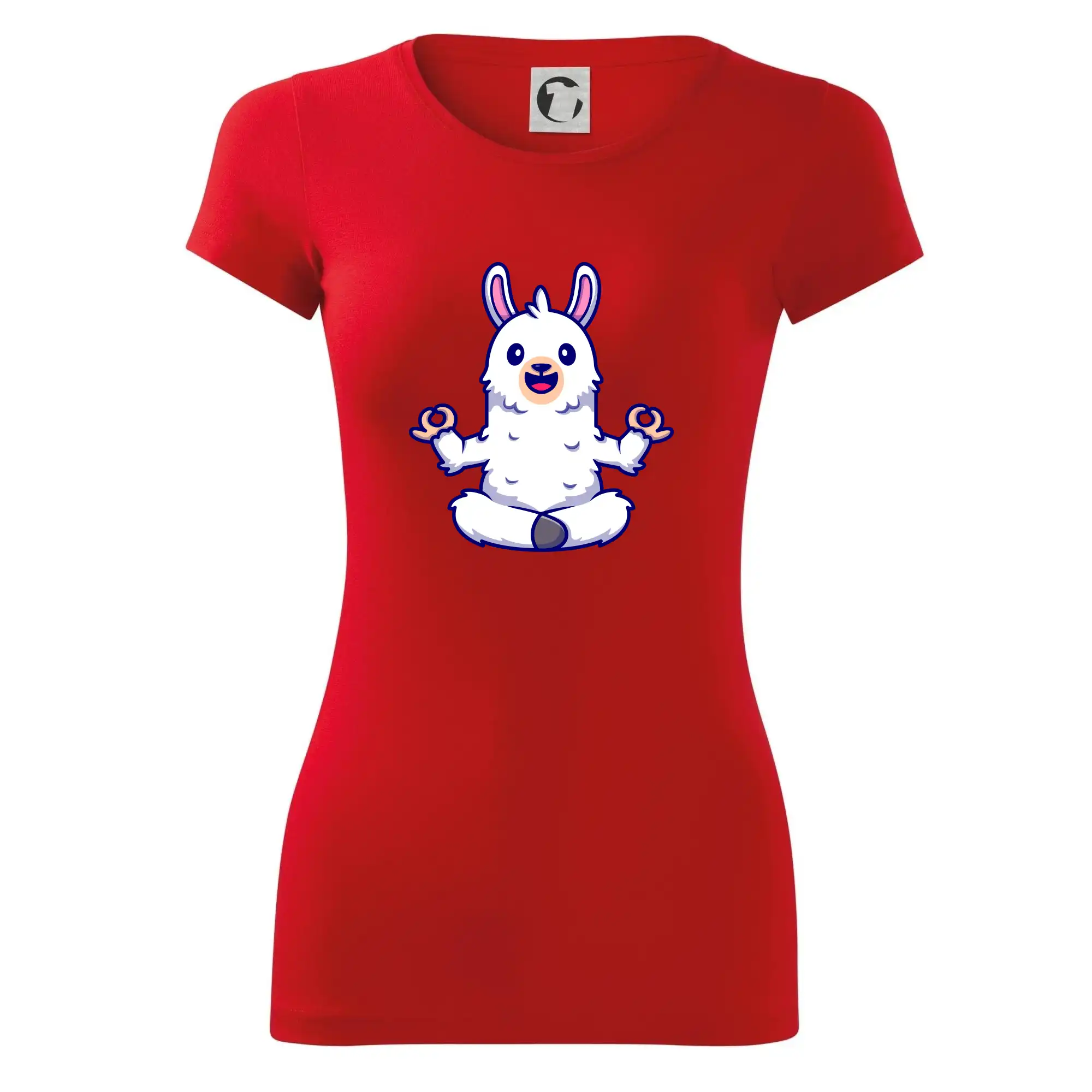 Yoga meditace - lama