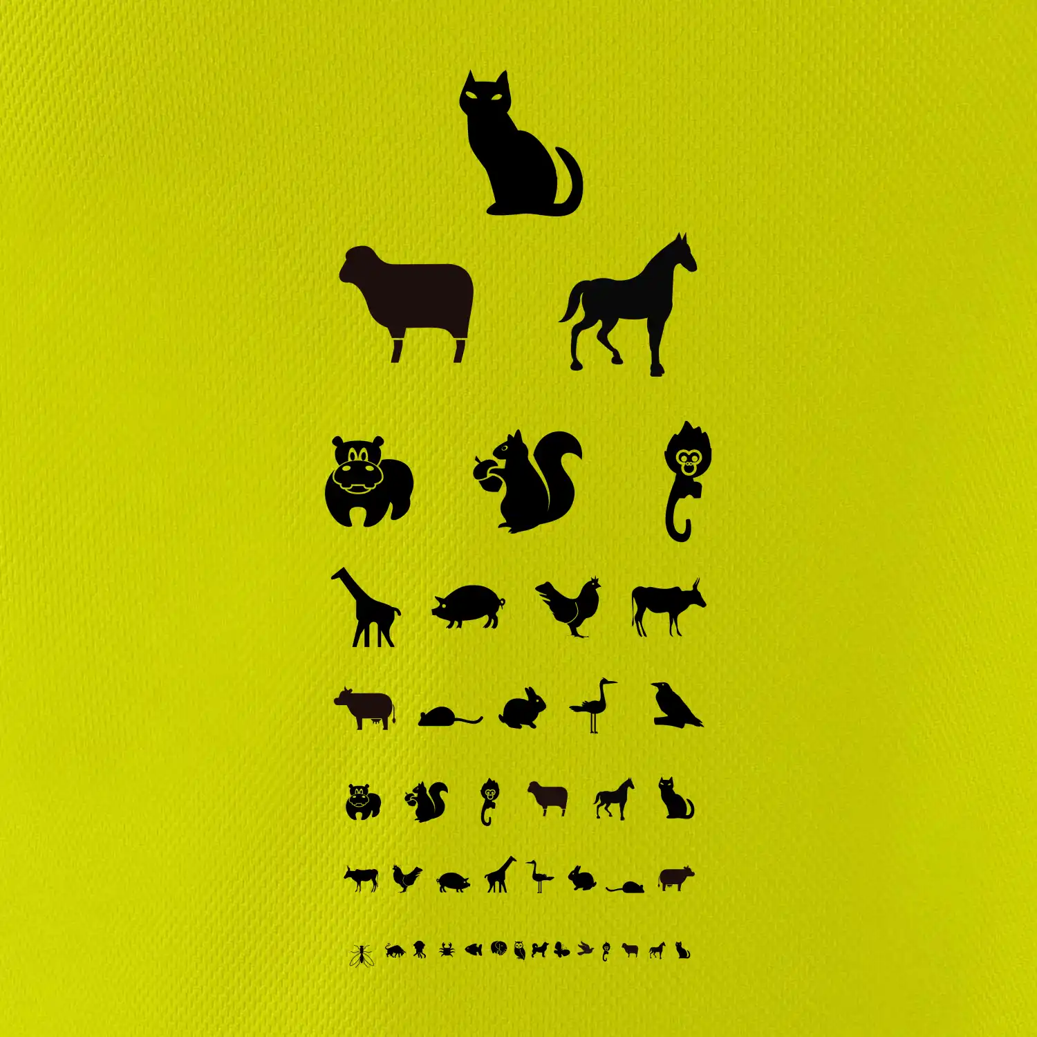 Oční test zvířatka