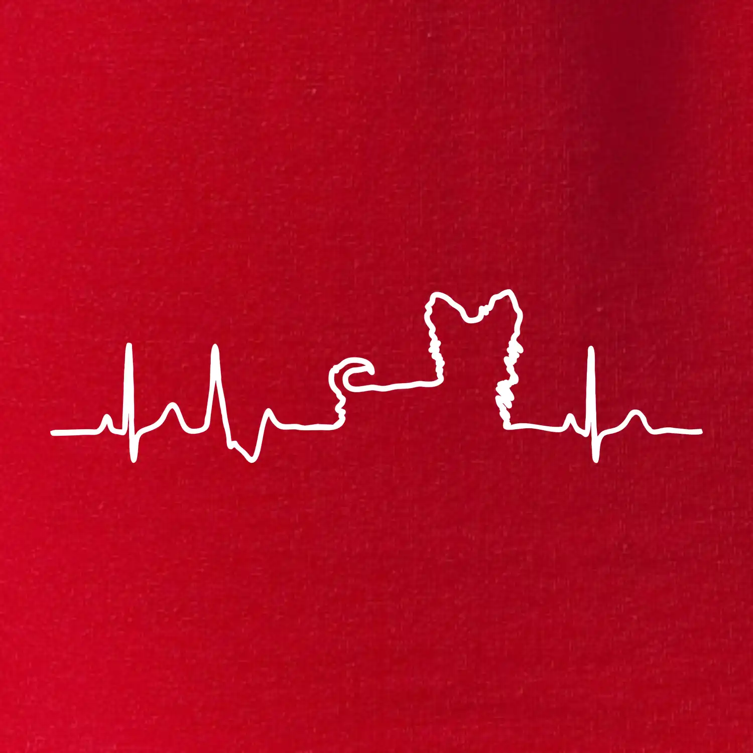 Jorkšírský teriér EKG