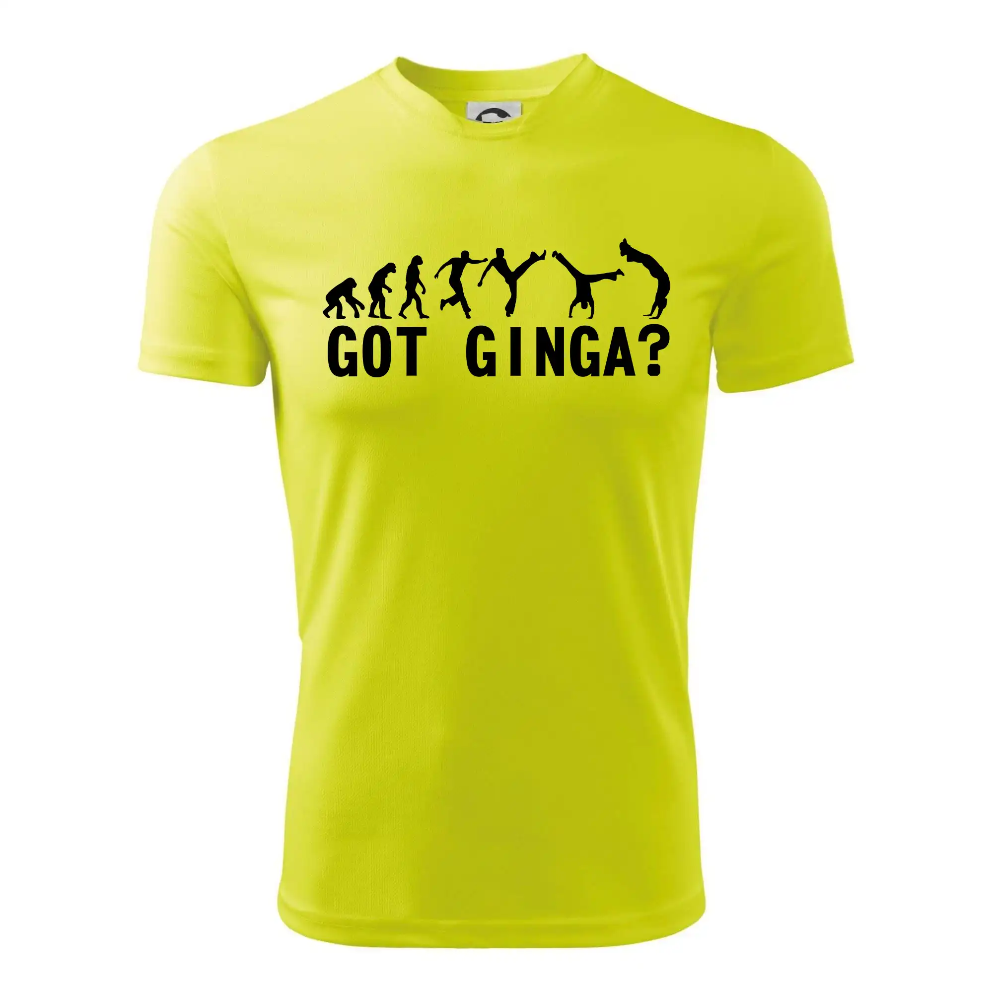 Capoeira - Got Ginga