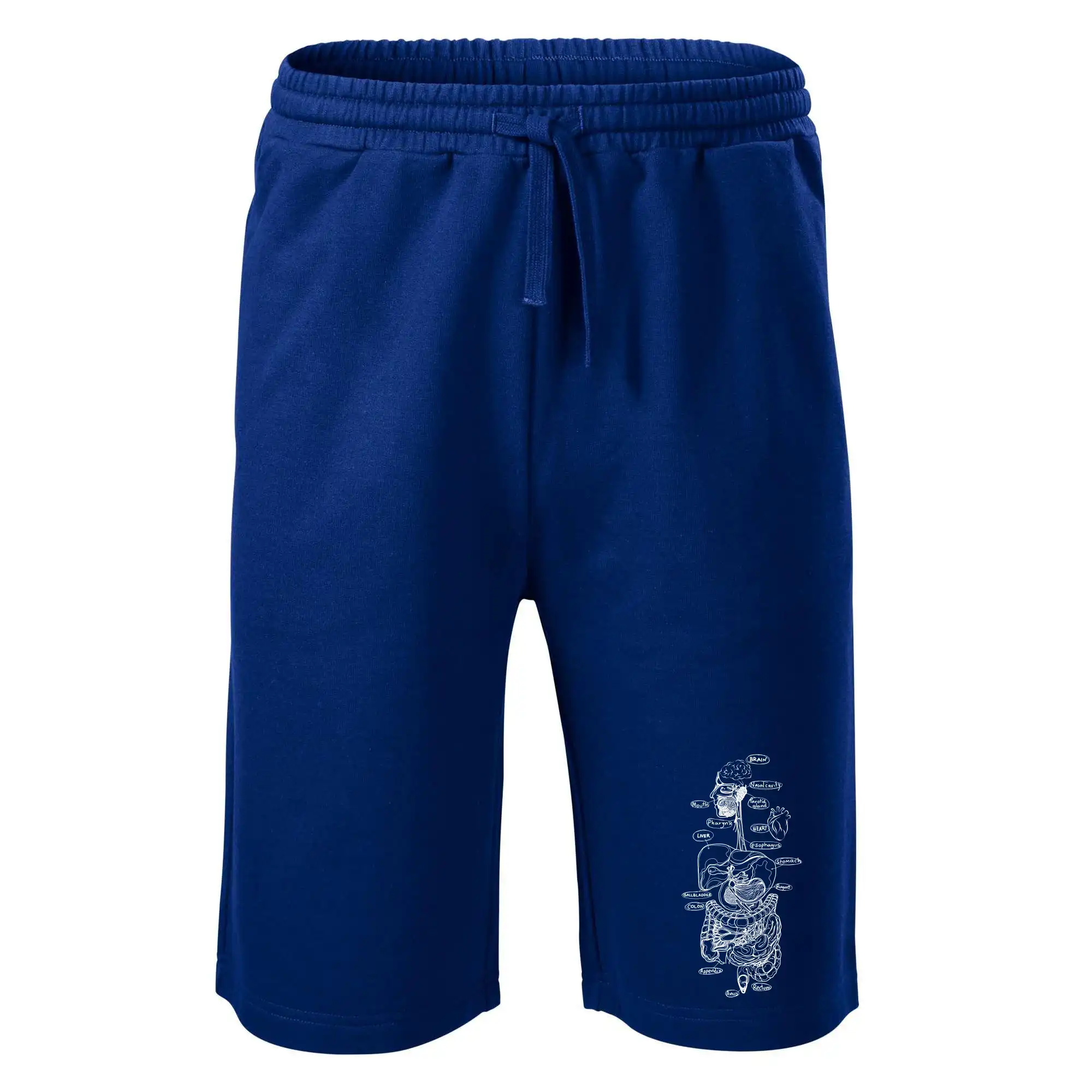 Skica lidských orgánů