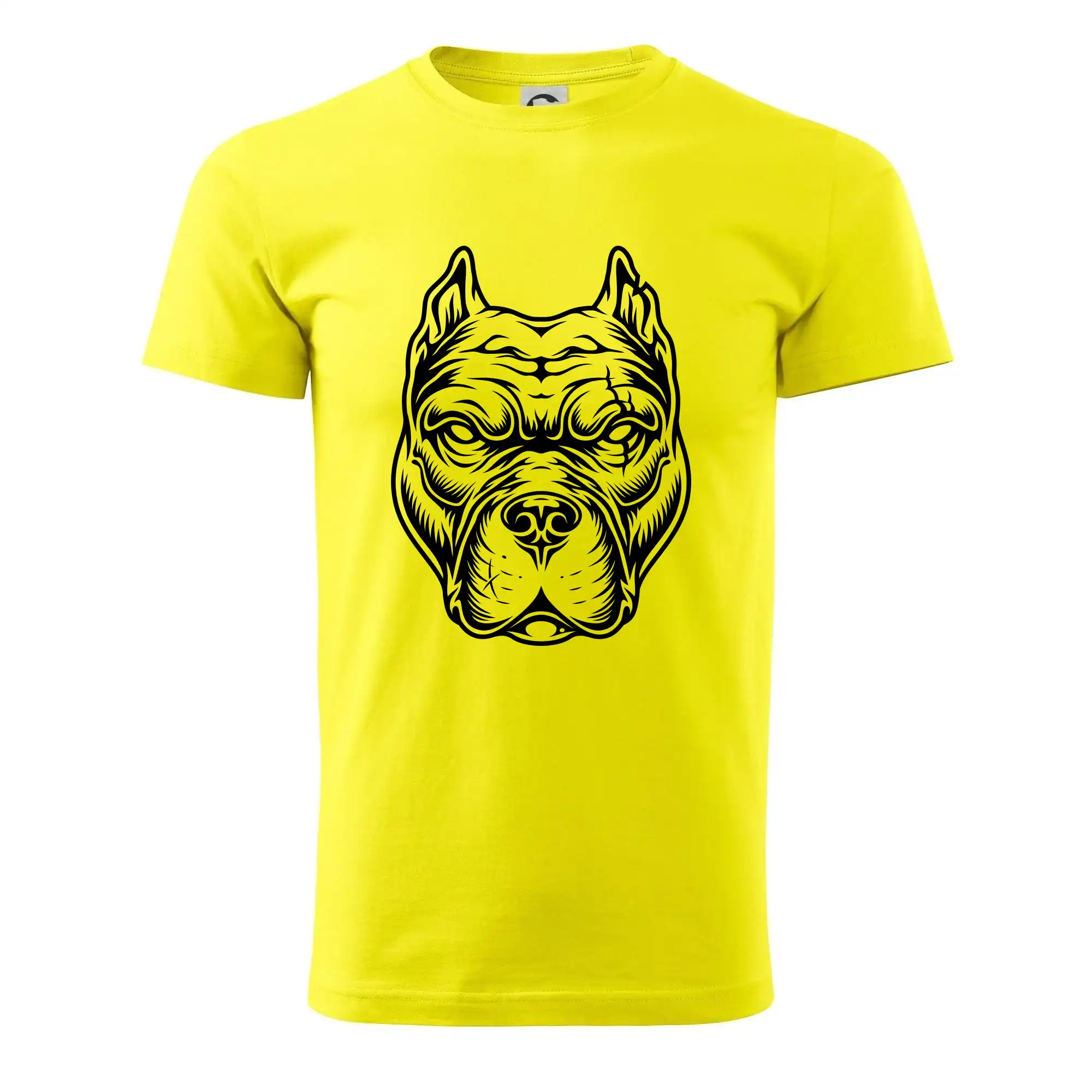 Americký stafordširský teriér hlava