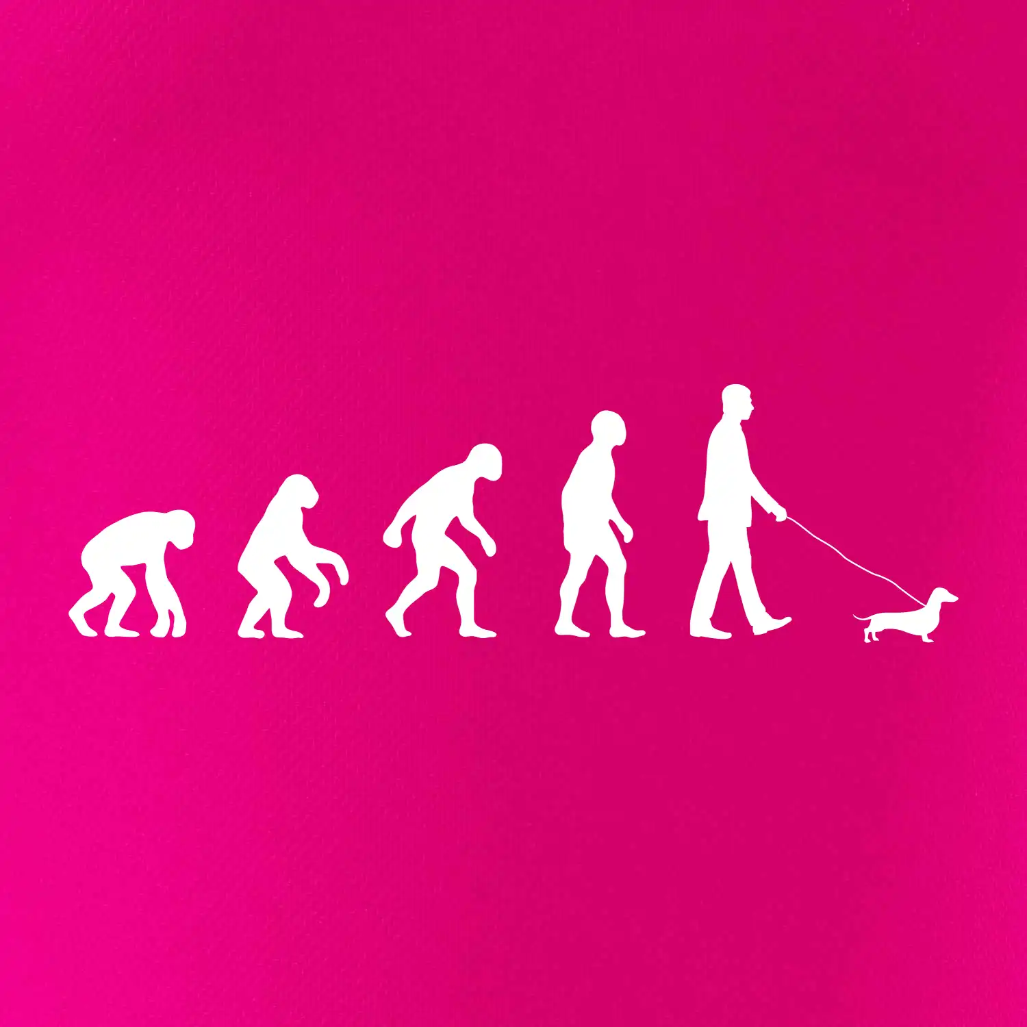 Jezevčík Evoluce muž / žena