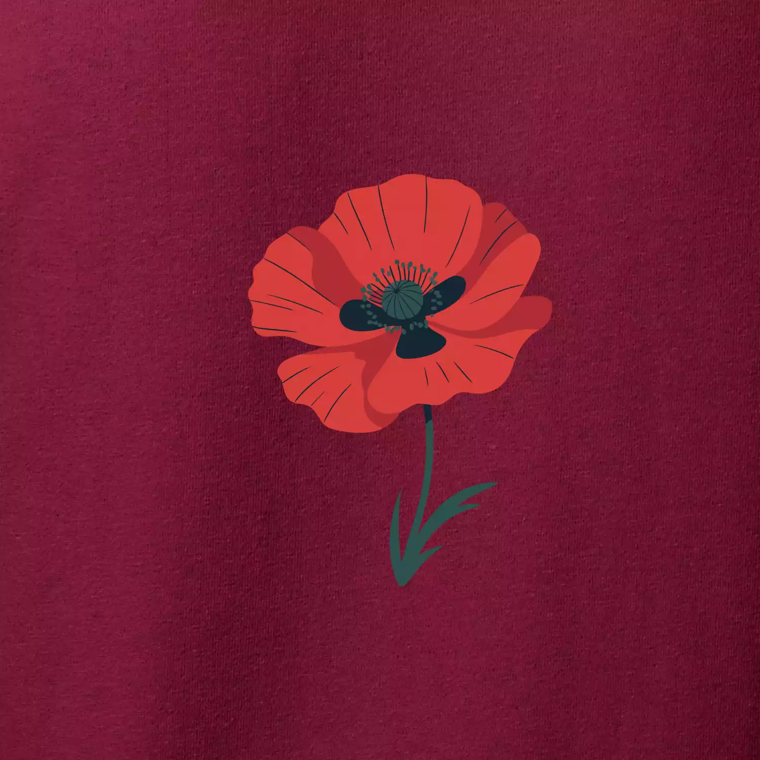 Vlčí mák kreslený velký