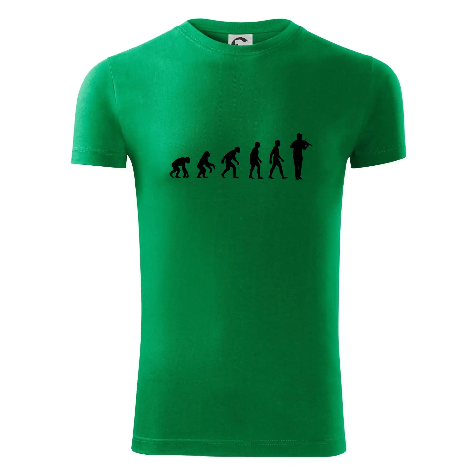 Evoluce houslista