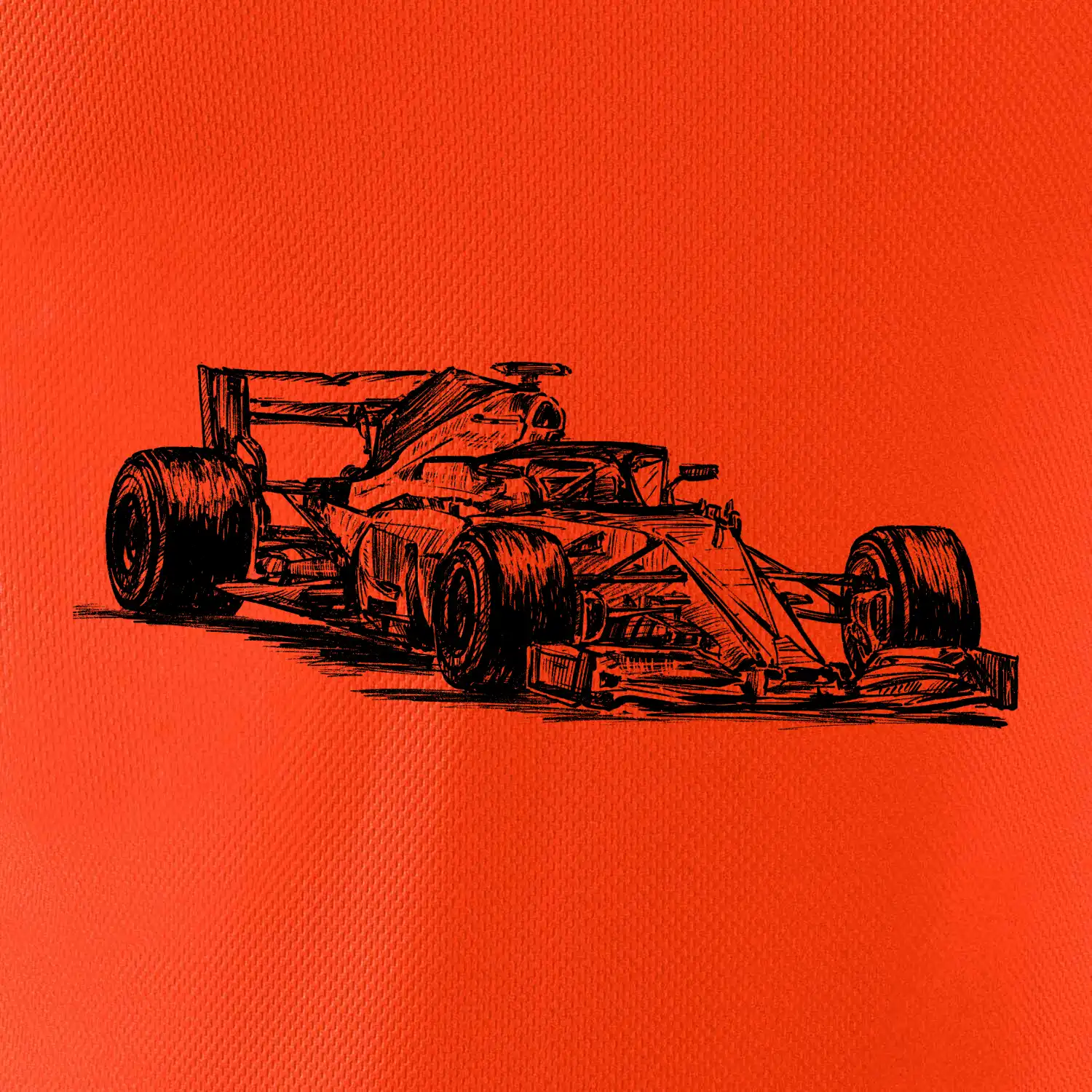 Formule v závodě