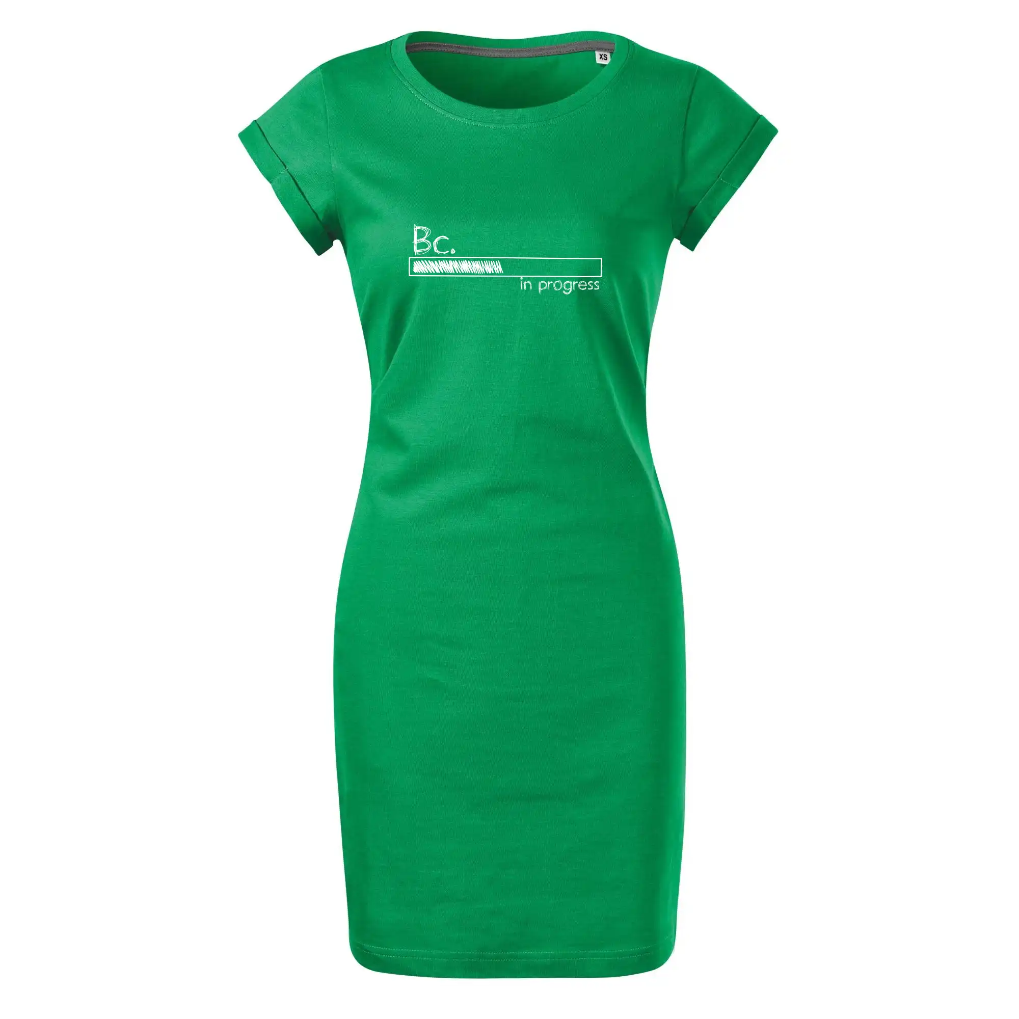 In progress  titul Bc. bakalář / bakalářka