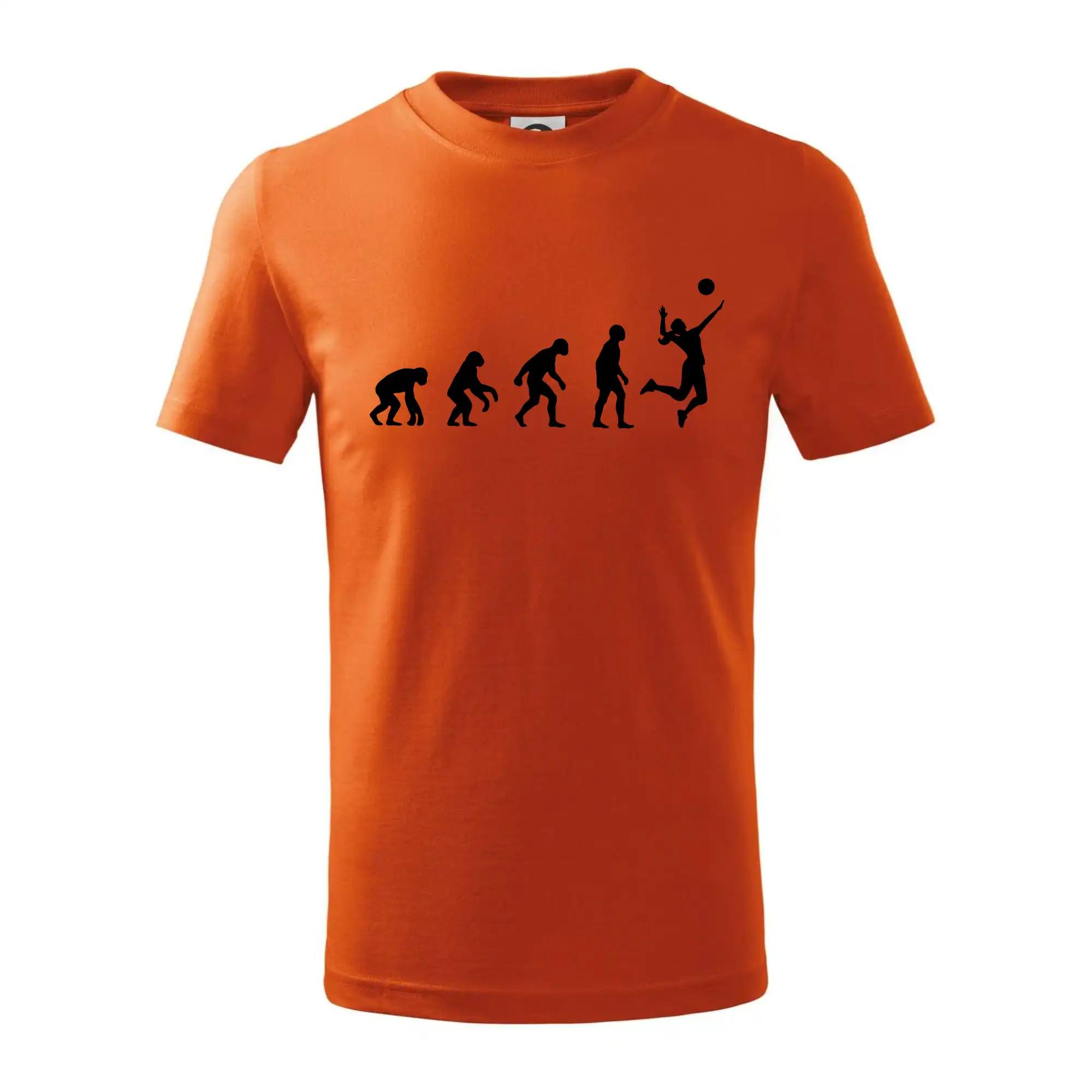 Evoluce volejbal culík