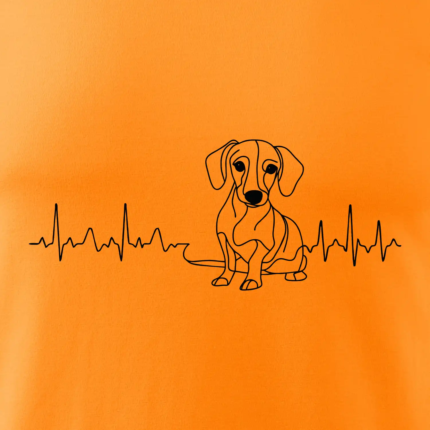 EKG křivka jezevčík