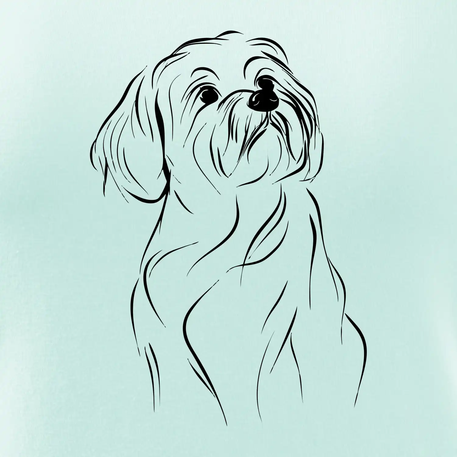 Lhasa Apso černý nákres slabé linky