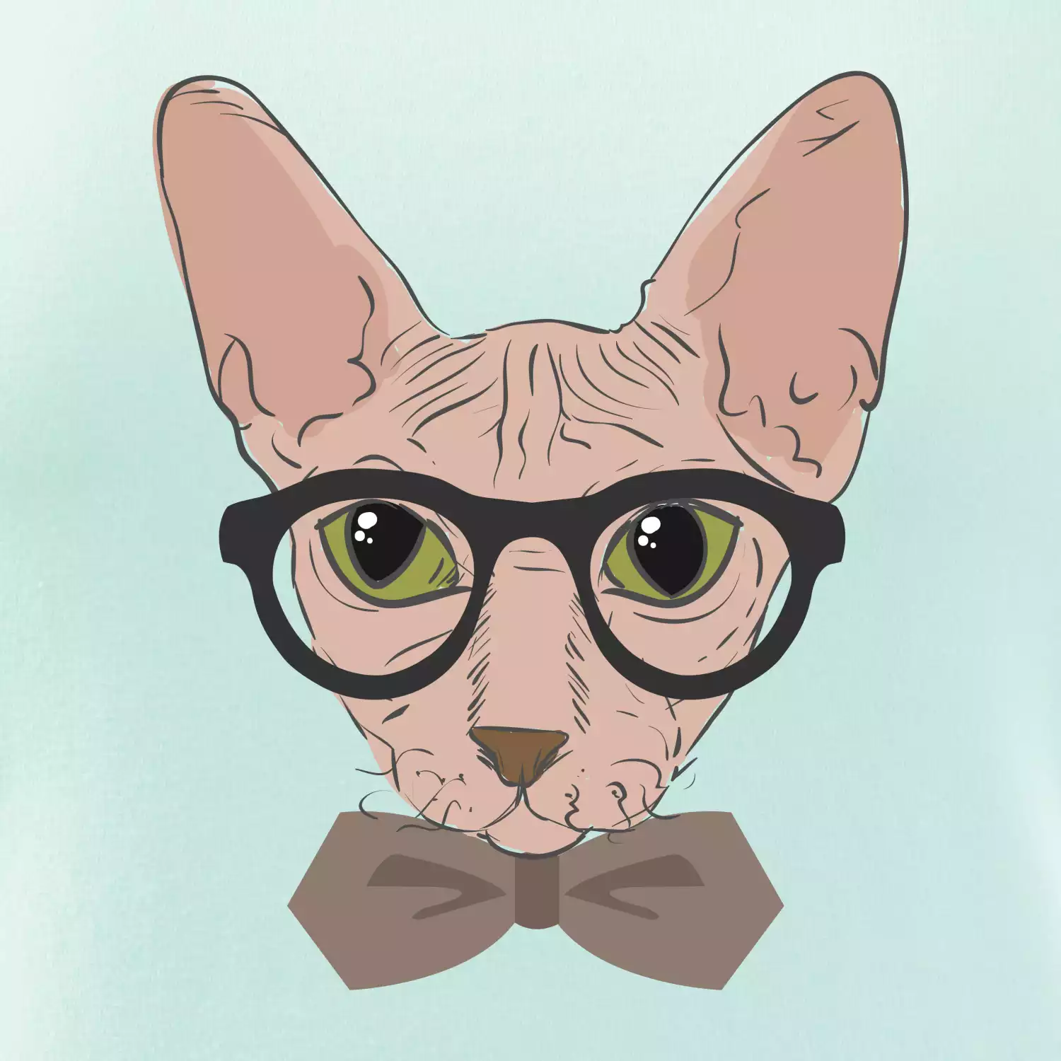 Hipster sphynx